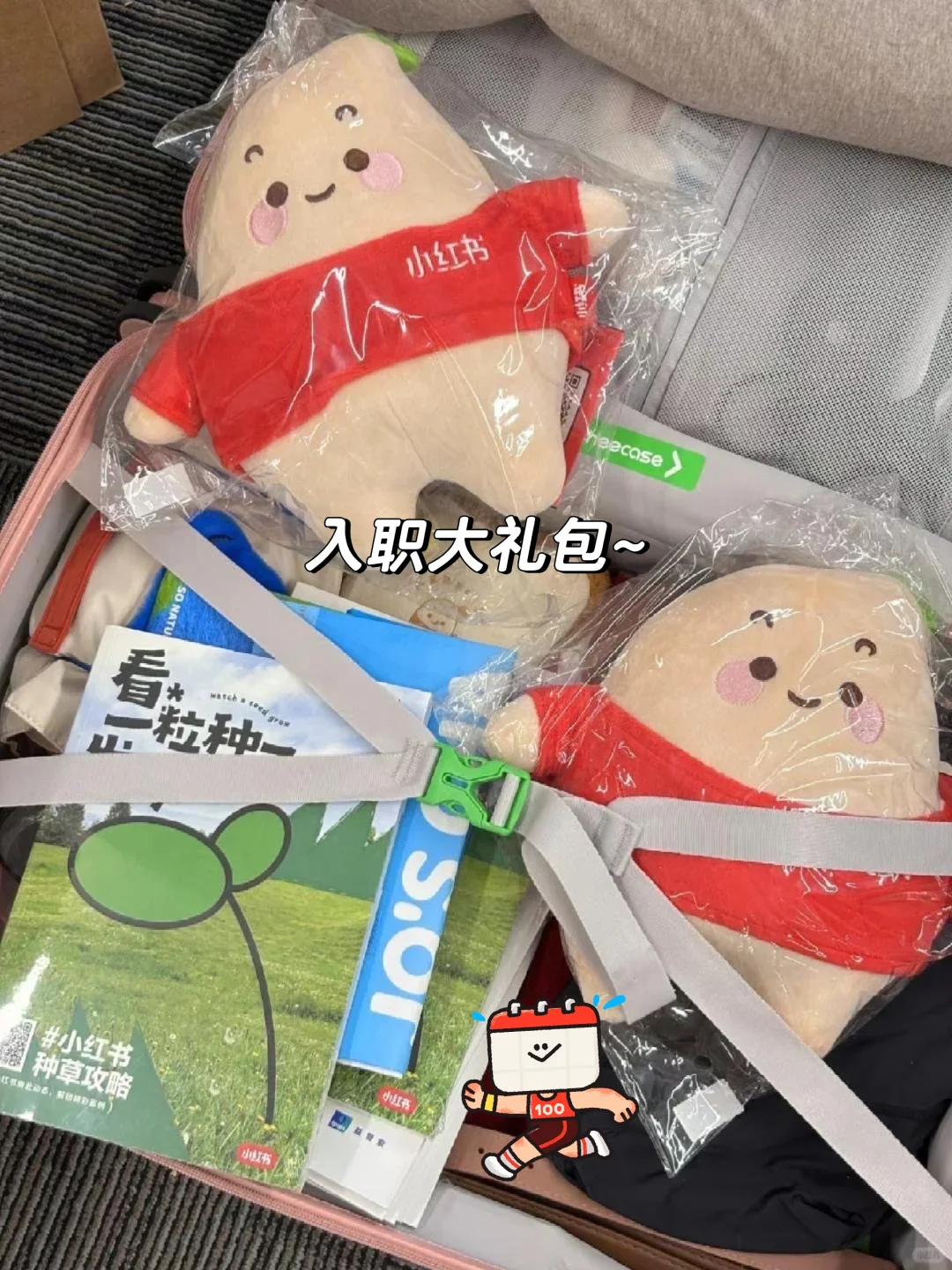 0基础转行AI产品经理,月36k➕上五休二