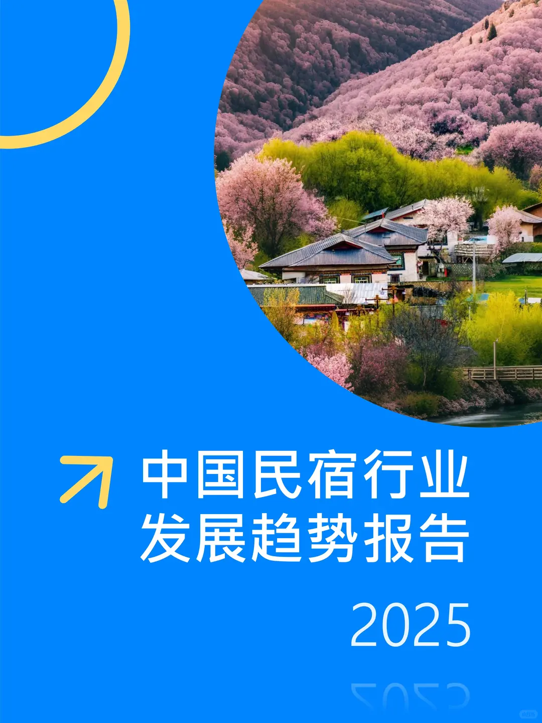 中国民宿行业发展趋势报告 2025