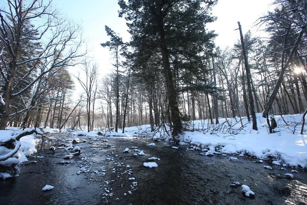 农夫山泉差异化之路堪称品牌定位经典