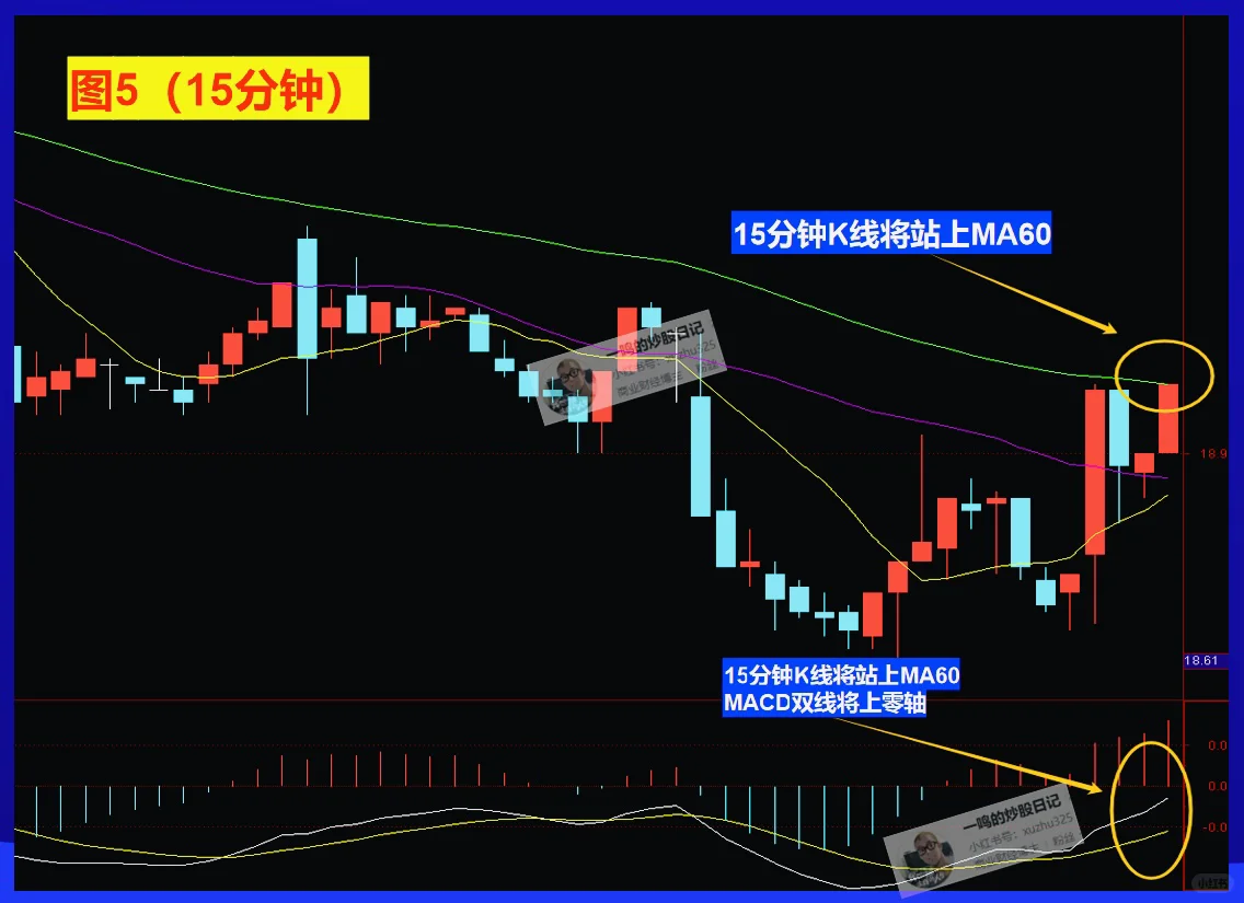 MACD周期循环，看完就会用了！