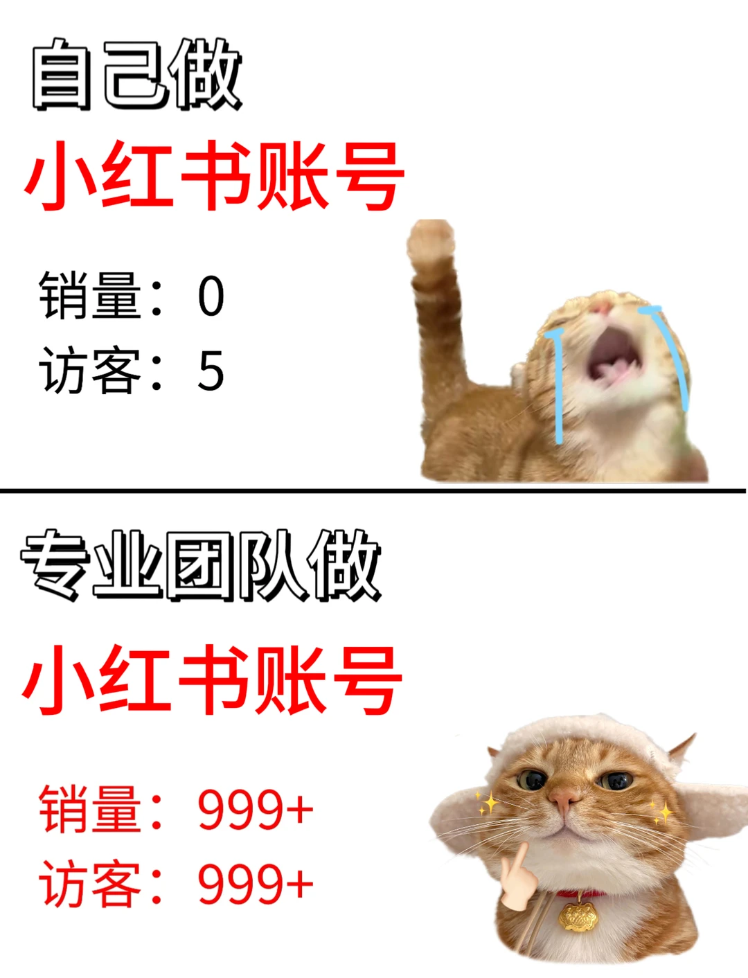 小红书怎么增加流量曝光?