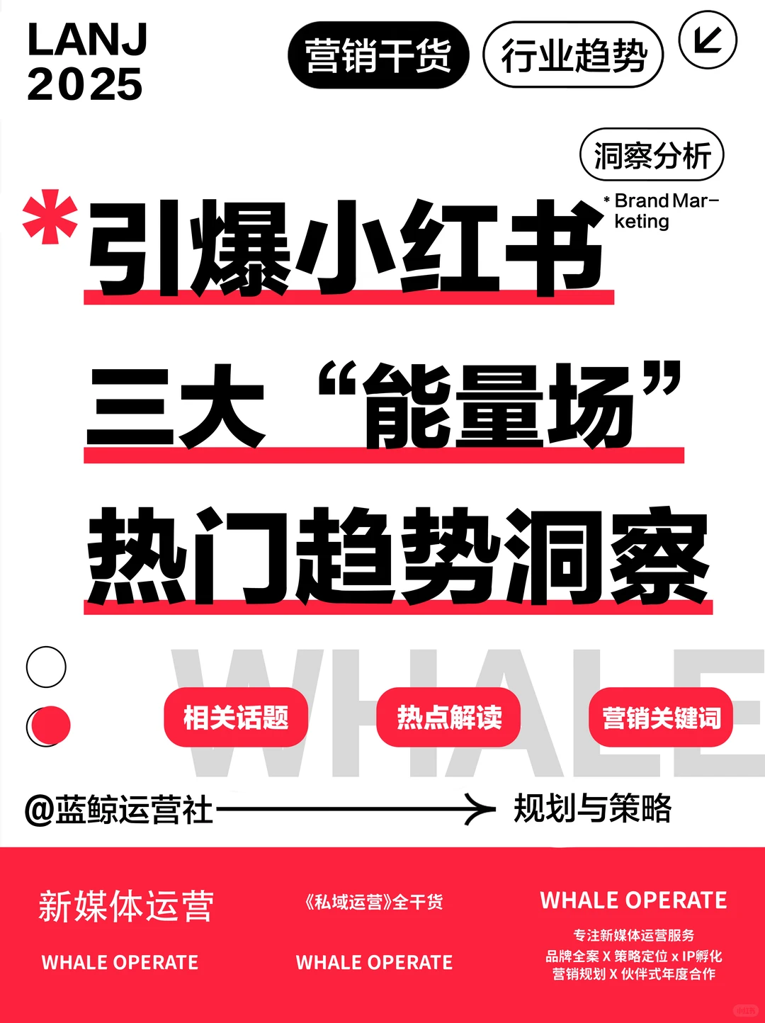 洞察分析｜引爆小红书的三大“能量场”