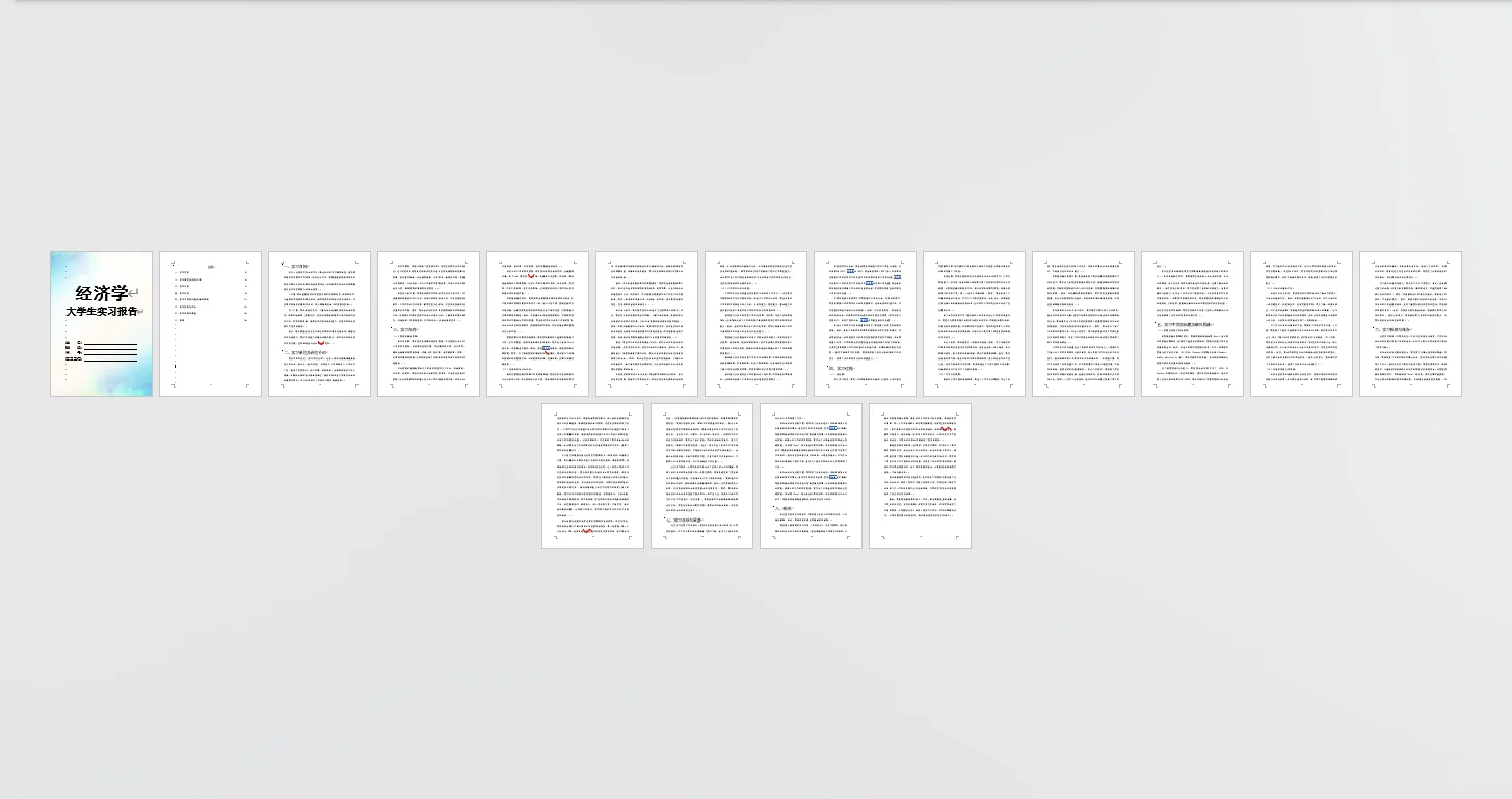 经济学实习报告word