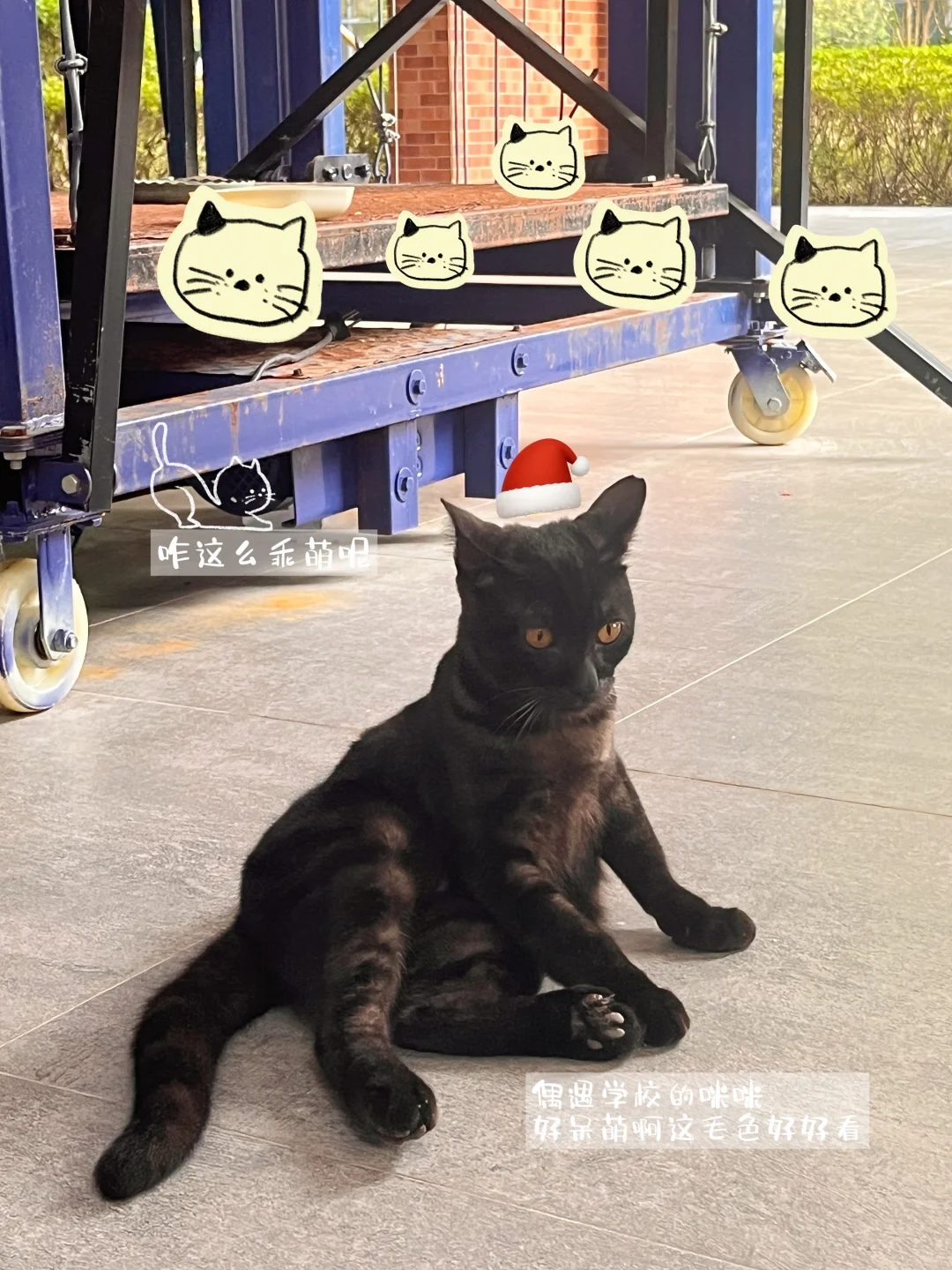 Plog｜数据差到自闭，在线求抱团