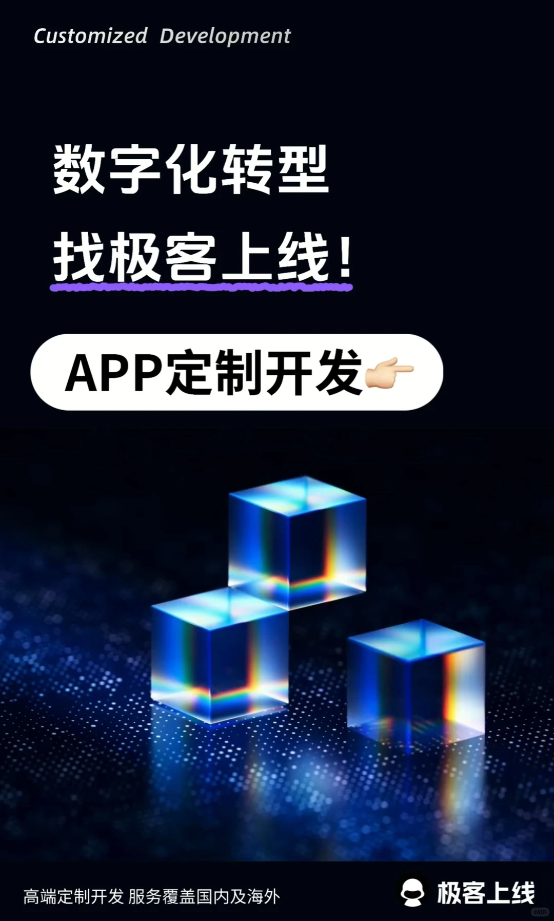 高端定制开发 企业数字化转型 选择我们！