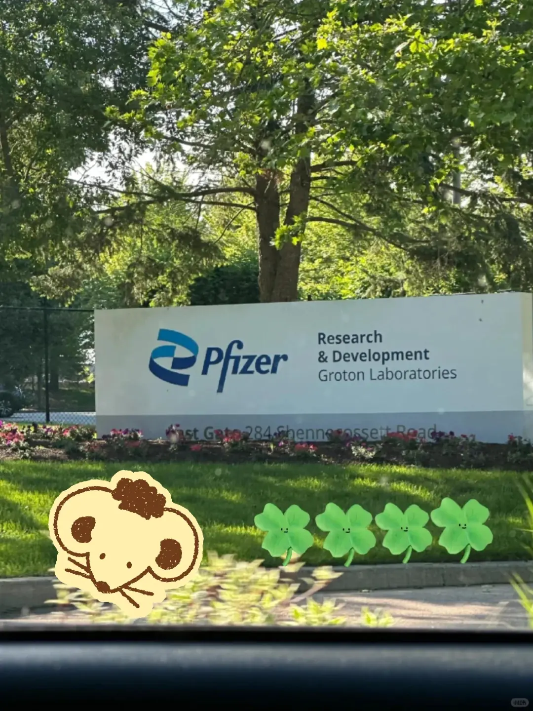 已入职辉瑞AI产品经理：医疗+AI！