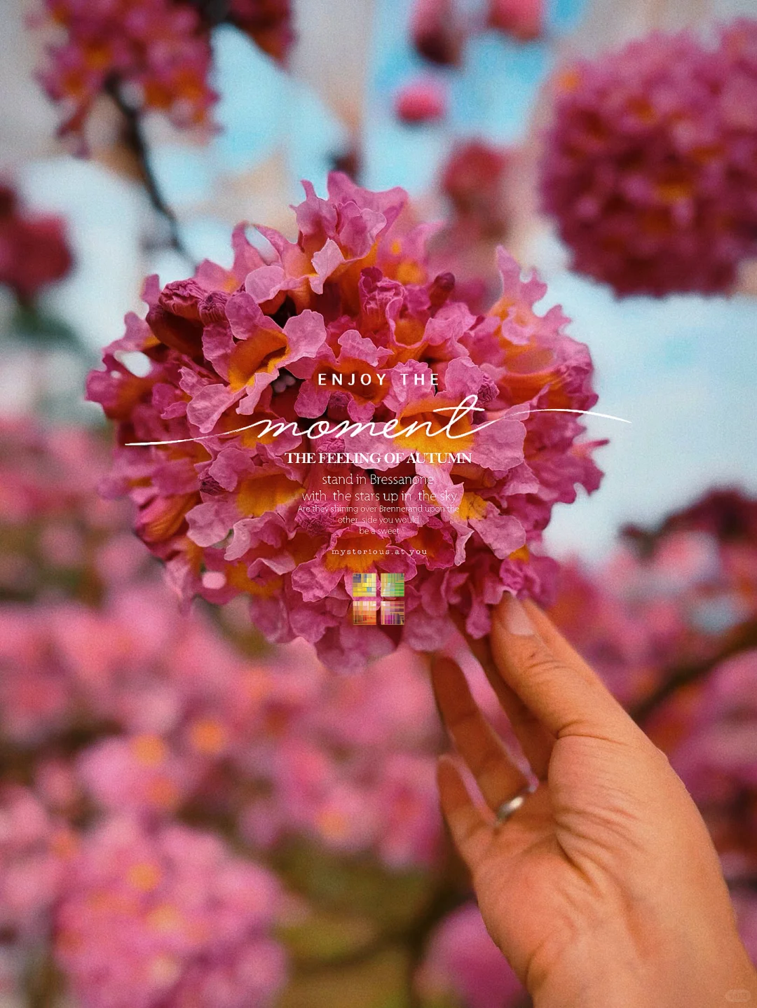 不是逃离,是觉醒,我决定用房租换一生✨