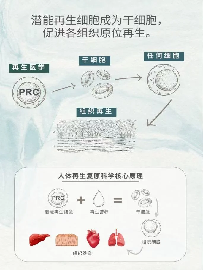 2026我们还?机会赚钱嘛？