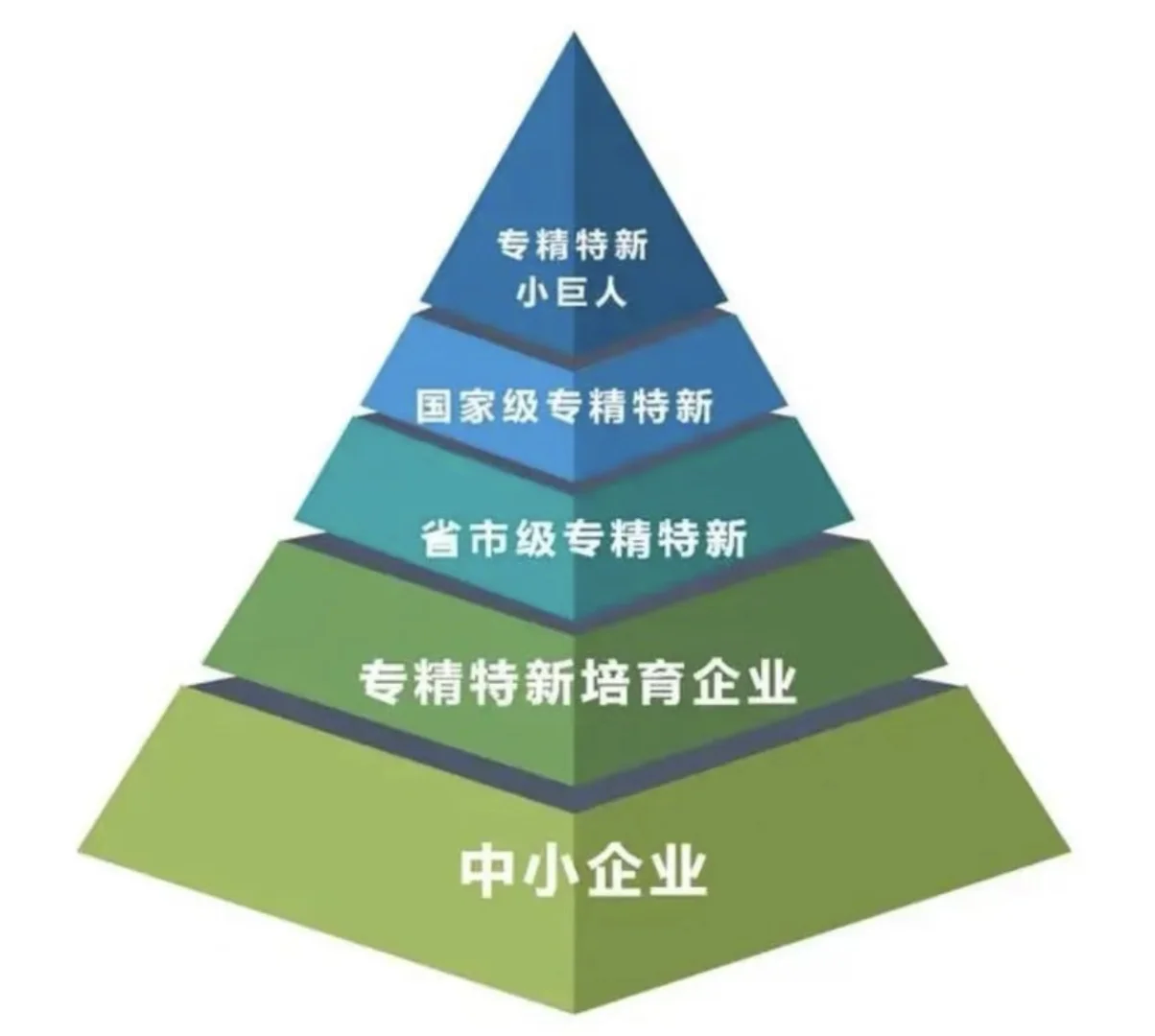 2026年专精特新企业梯度培育孵化特刊