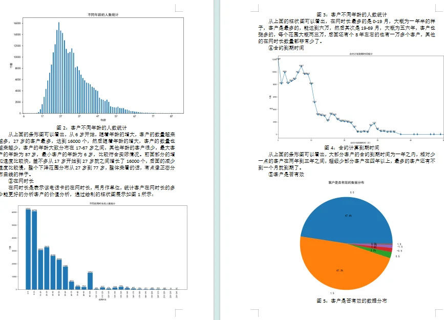 大数据/营销案例分析/Py项目（程序＋报告）