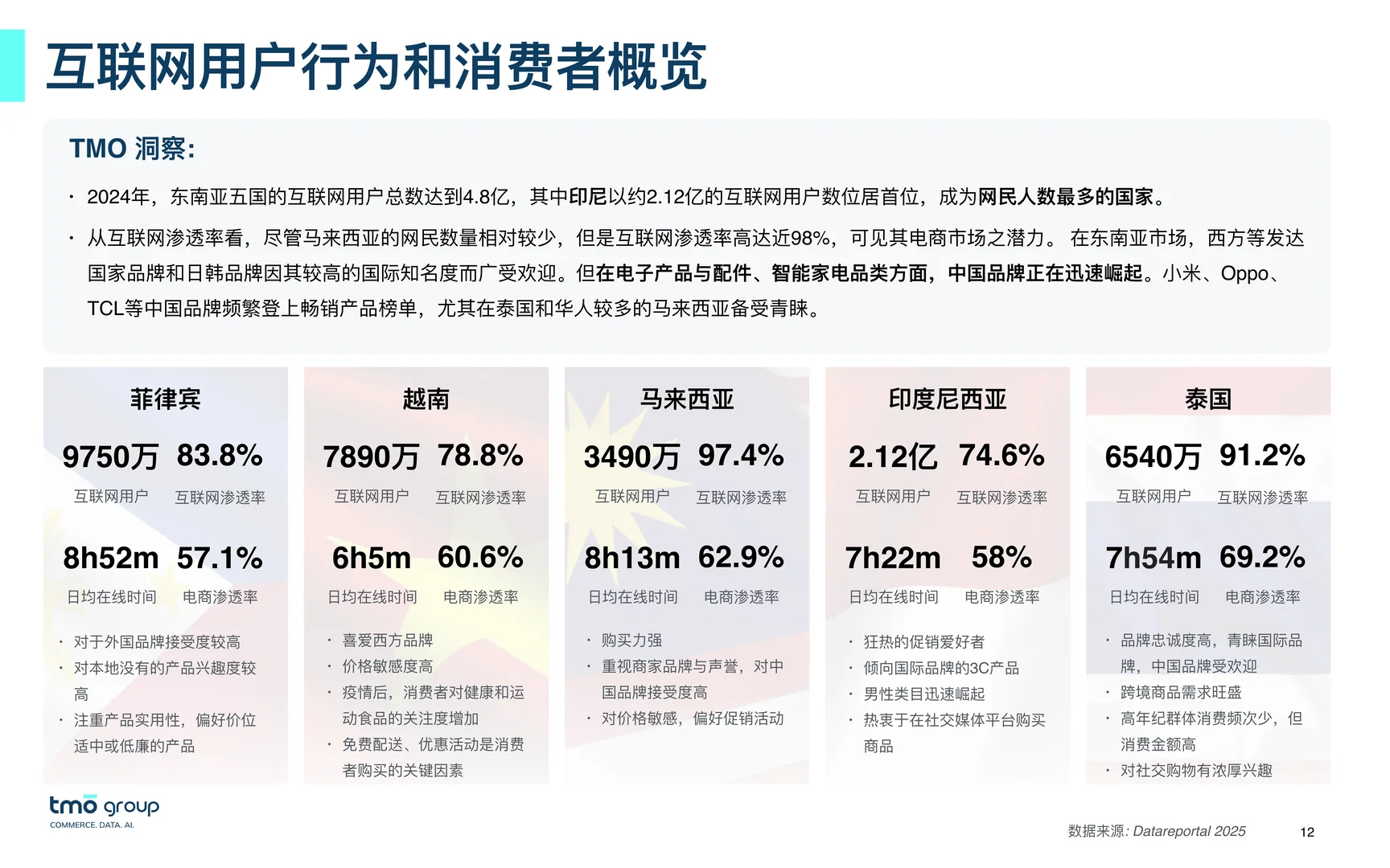 2025年东南亚电子商务市场洞察报告