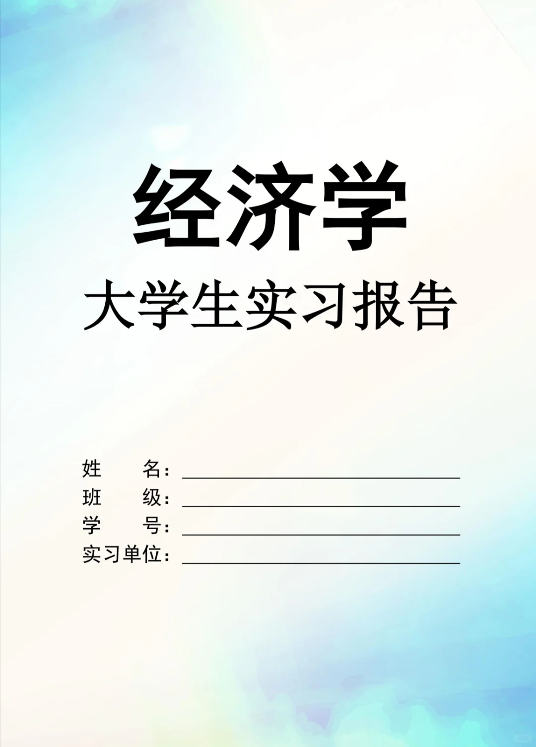 经济学实习报告word