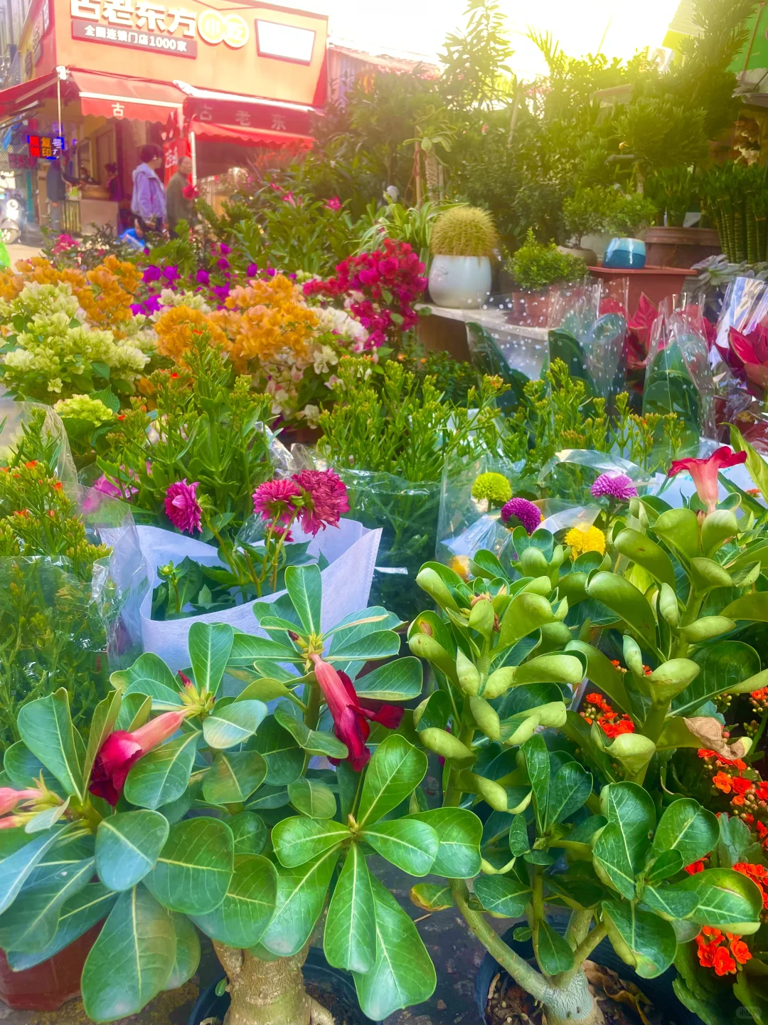 广州｜三东市场｜物价低