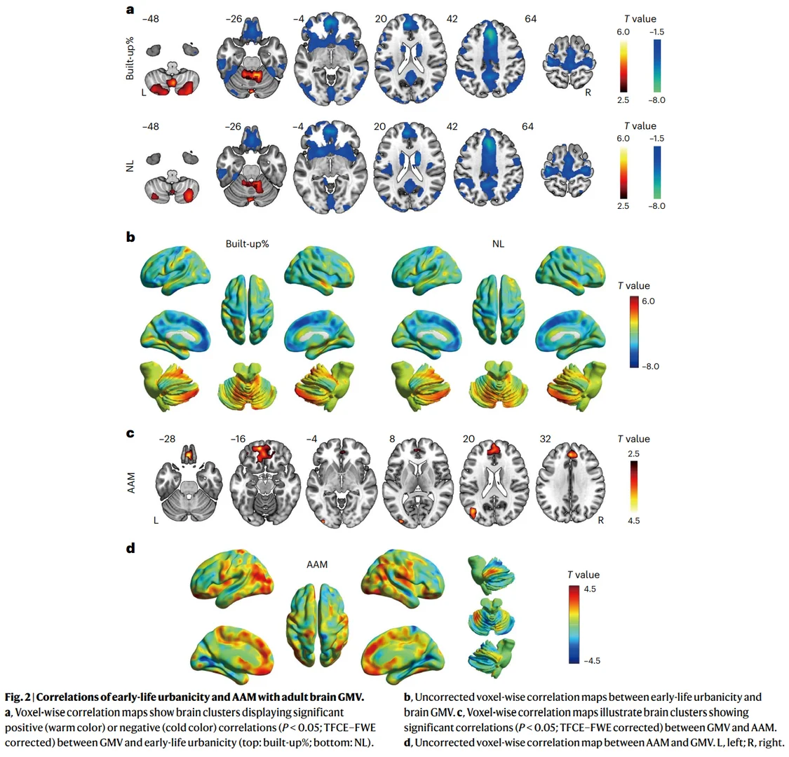 城市生活与成年神经行为特征NCit.