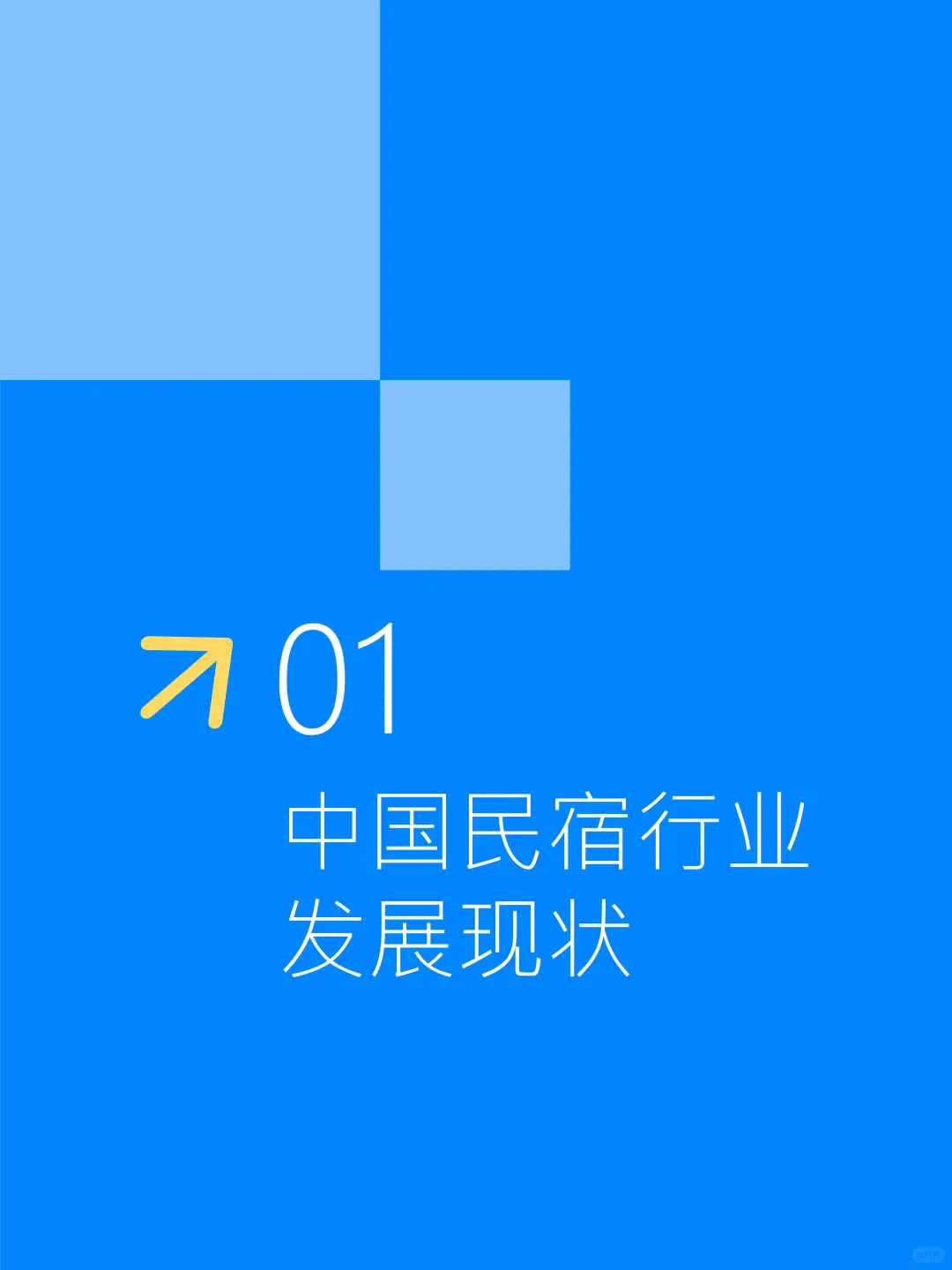 2025 中国民宿行业发展趋势报告