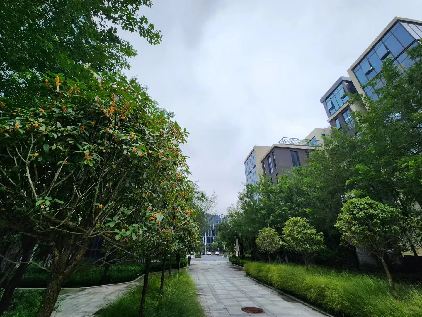 2026教培行业趋势