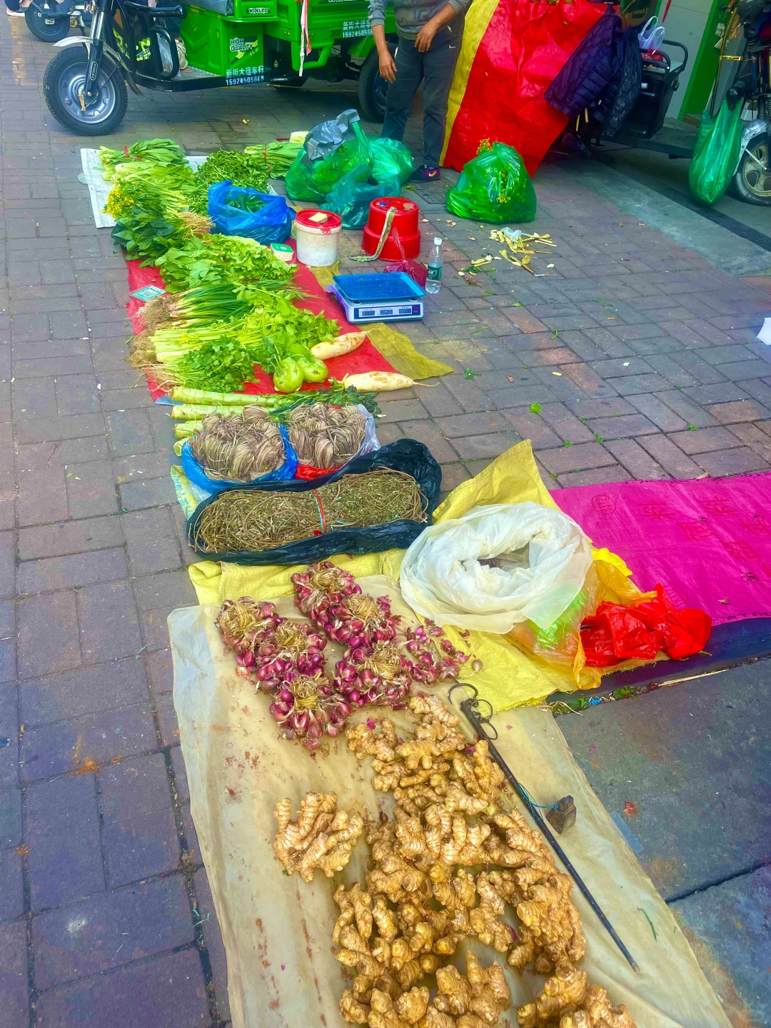 广州｜三东市场｜物价低