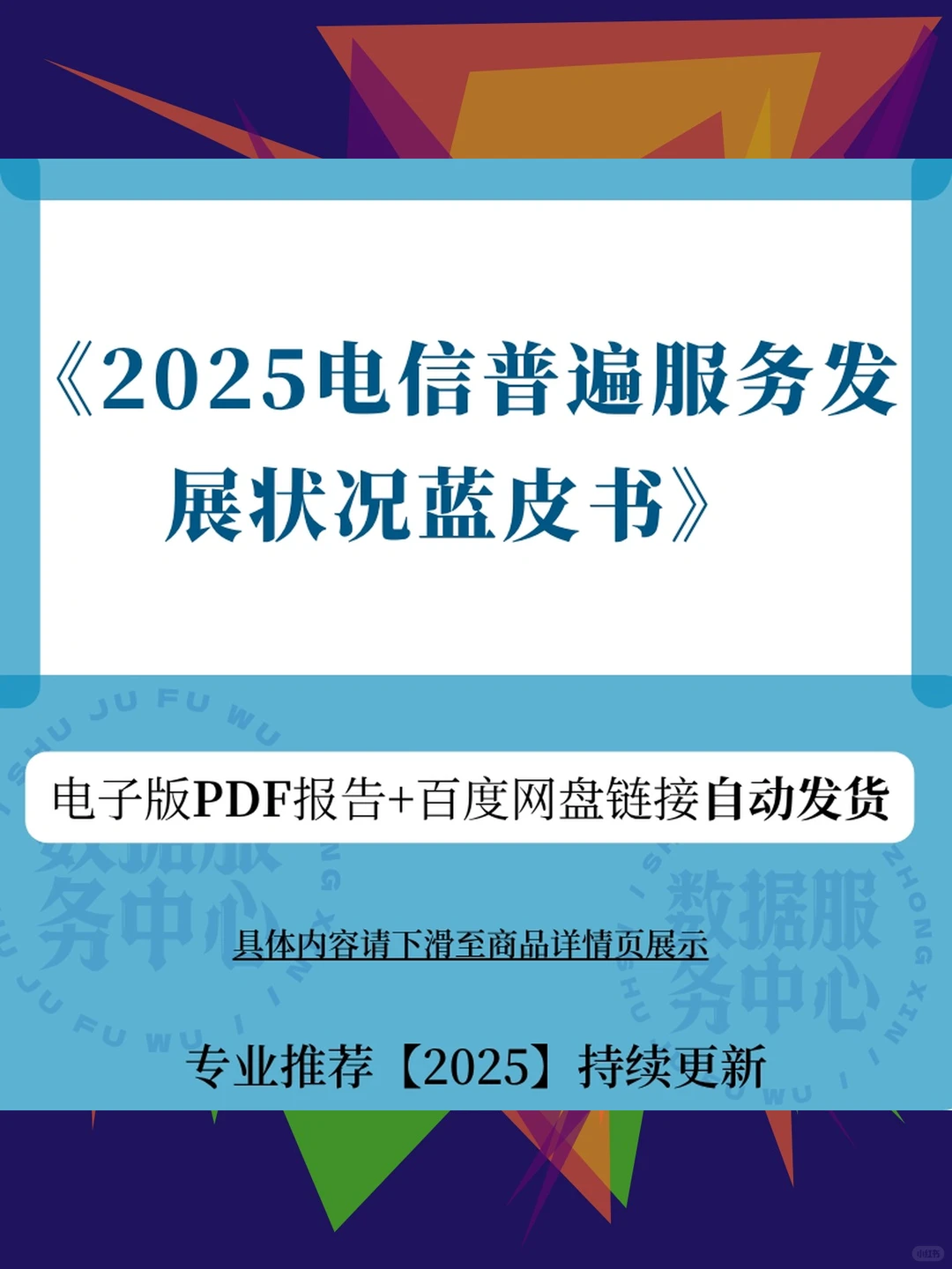 2025电信普遍服务蓝皮书发展状况