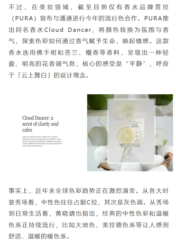 经典的中性色彩和温暖色系正持续流行