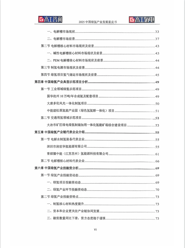 ?揭秘：2025中国绿氢产业发展蓝皮书