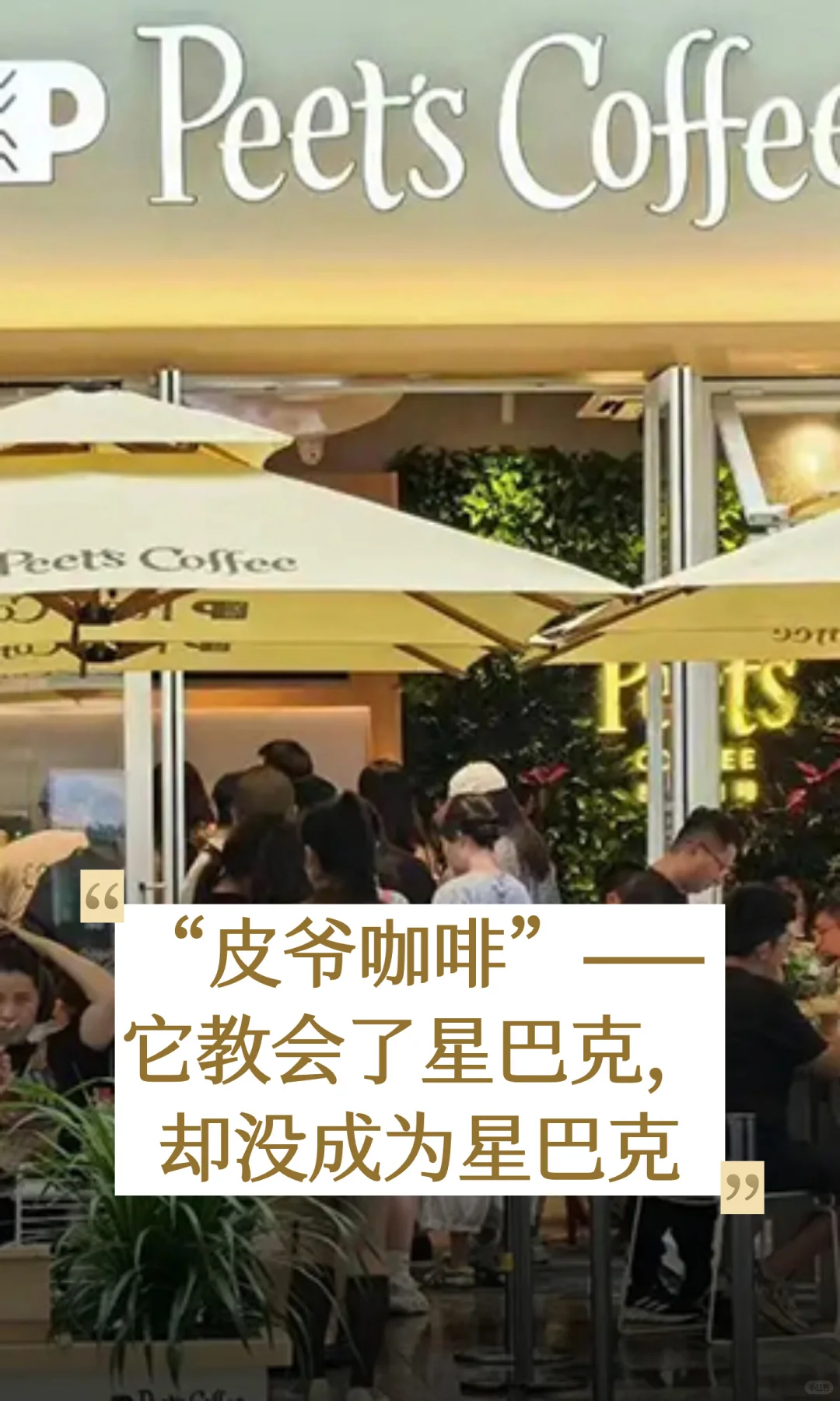 皮爷咖啡教会了星巴克，却没成为星巴克