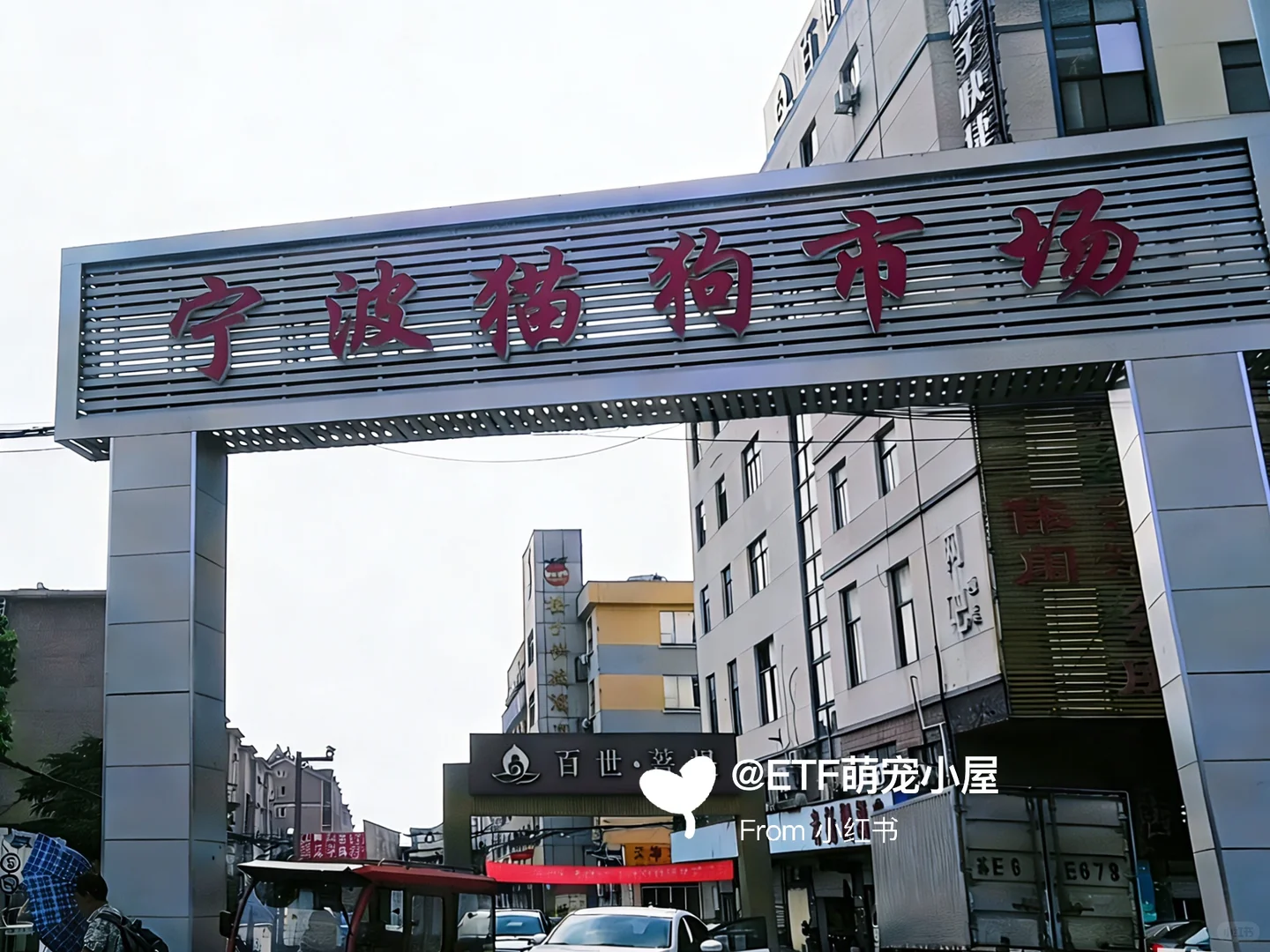 宁波宠物市场、宠物天堂、逛逛逛！