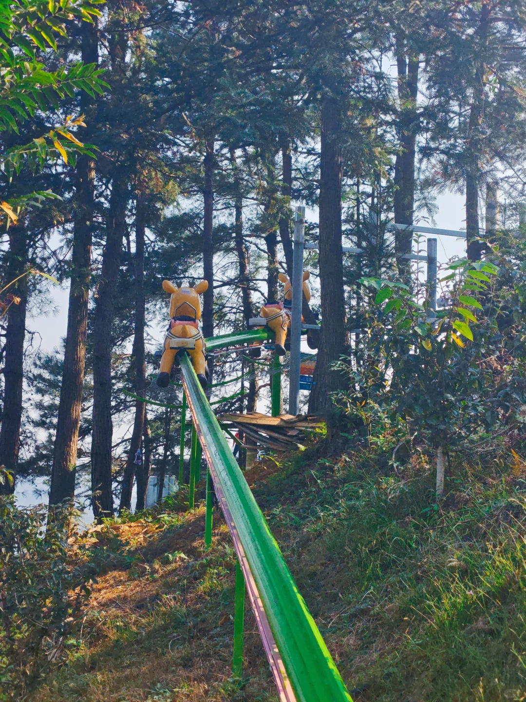 三渡项目深度体验报告!除了刺激还有什么?