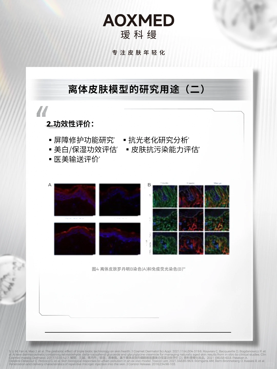 行业动态|离体皮肤模型 赋能化妆品精准评估