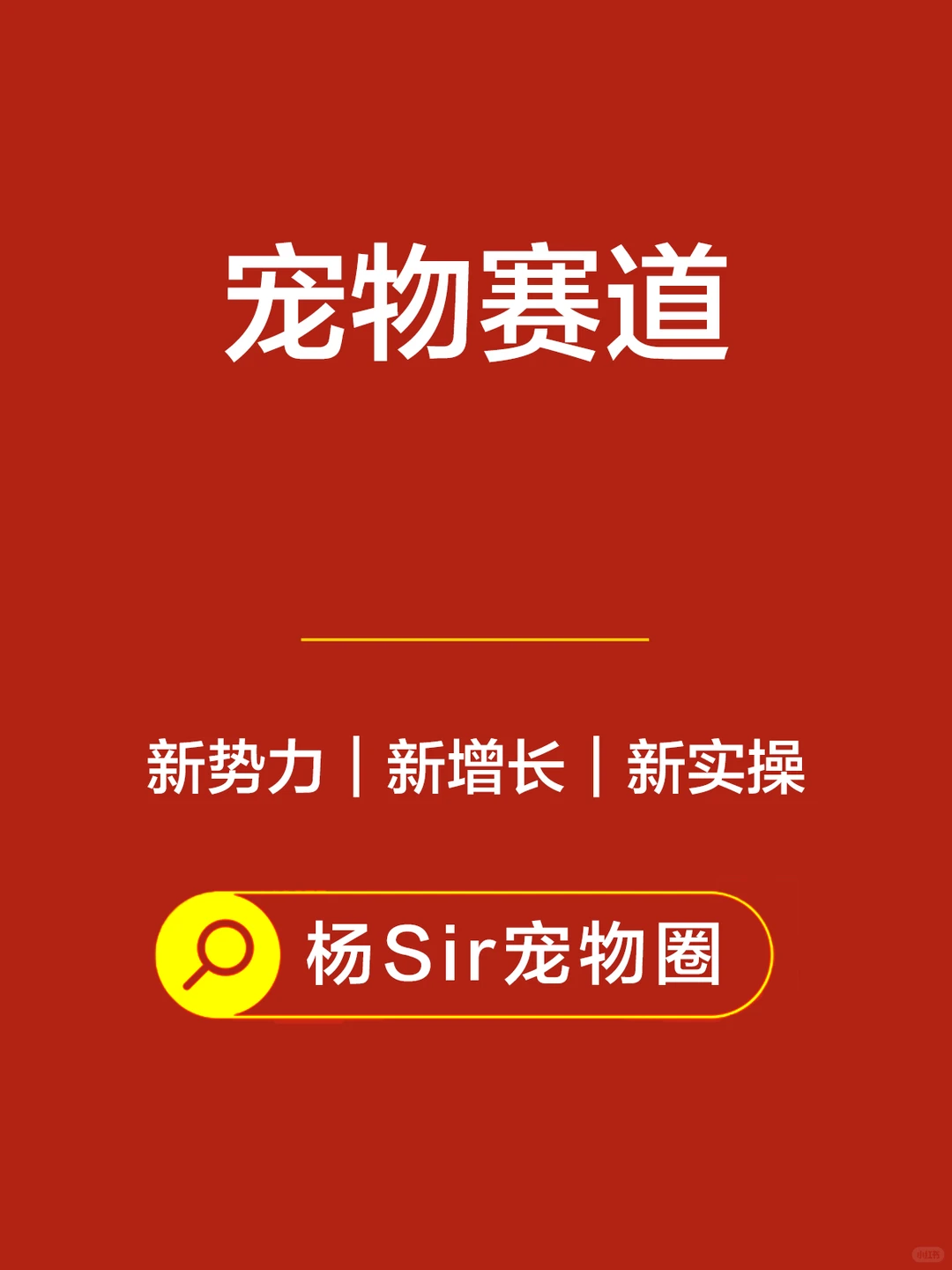 2026，宠物行业，三个新风口