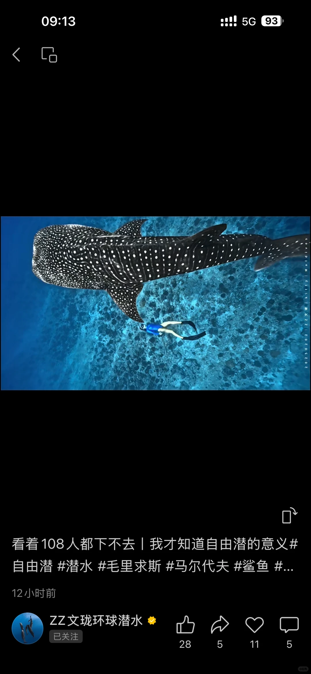 全新的国际货币体系正在逐步建立