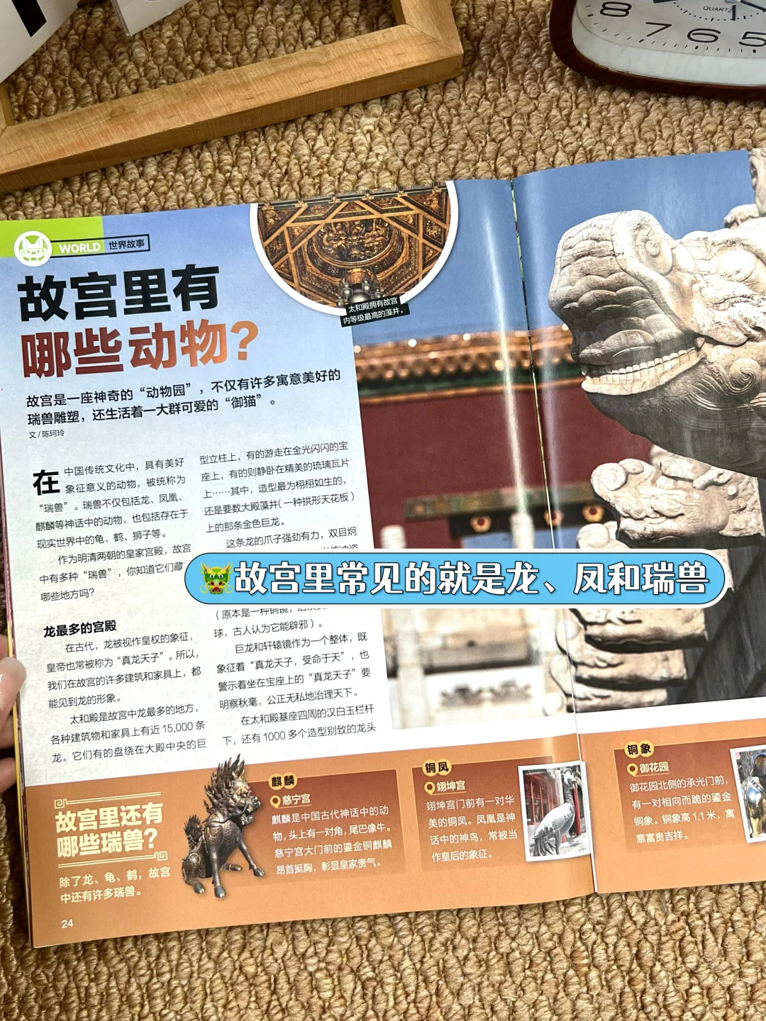 ?《好奇号》| 让孩子重新认识百年故宫