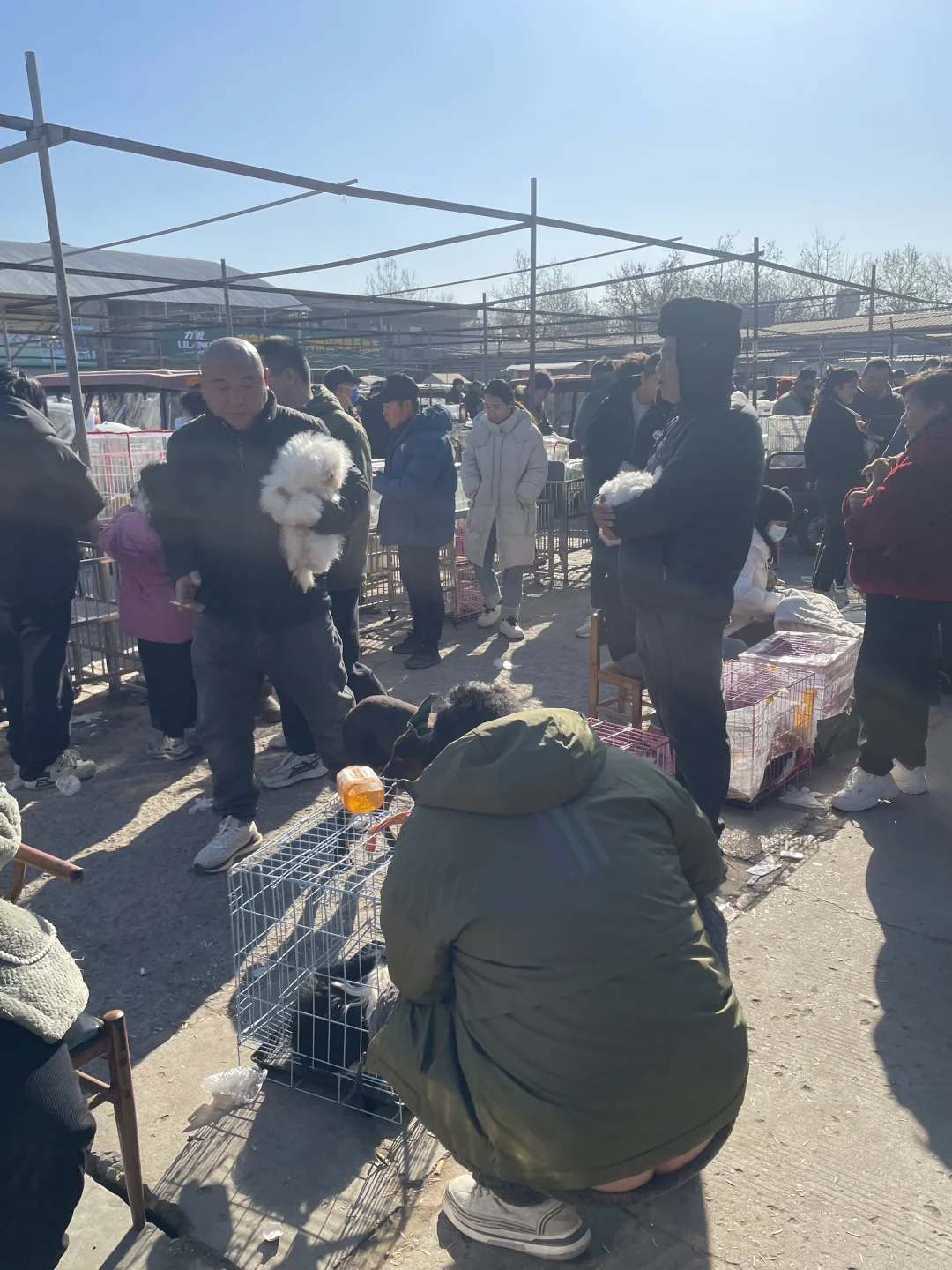 宁波宠物市场、宠物天堂、逛逛逛！