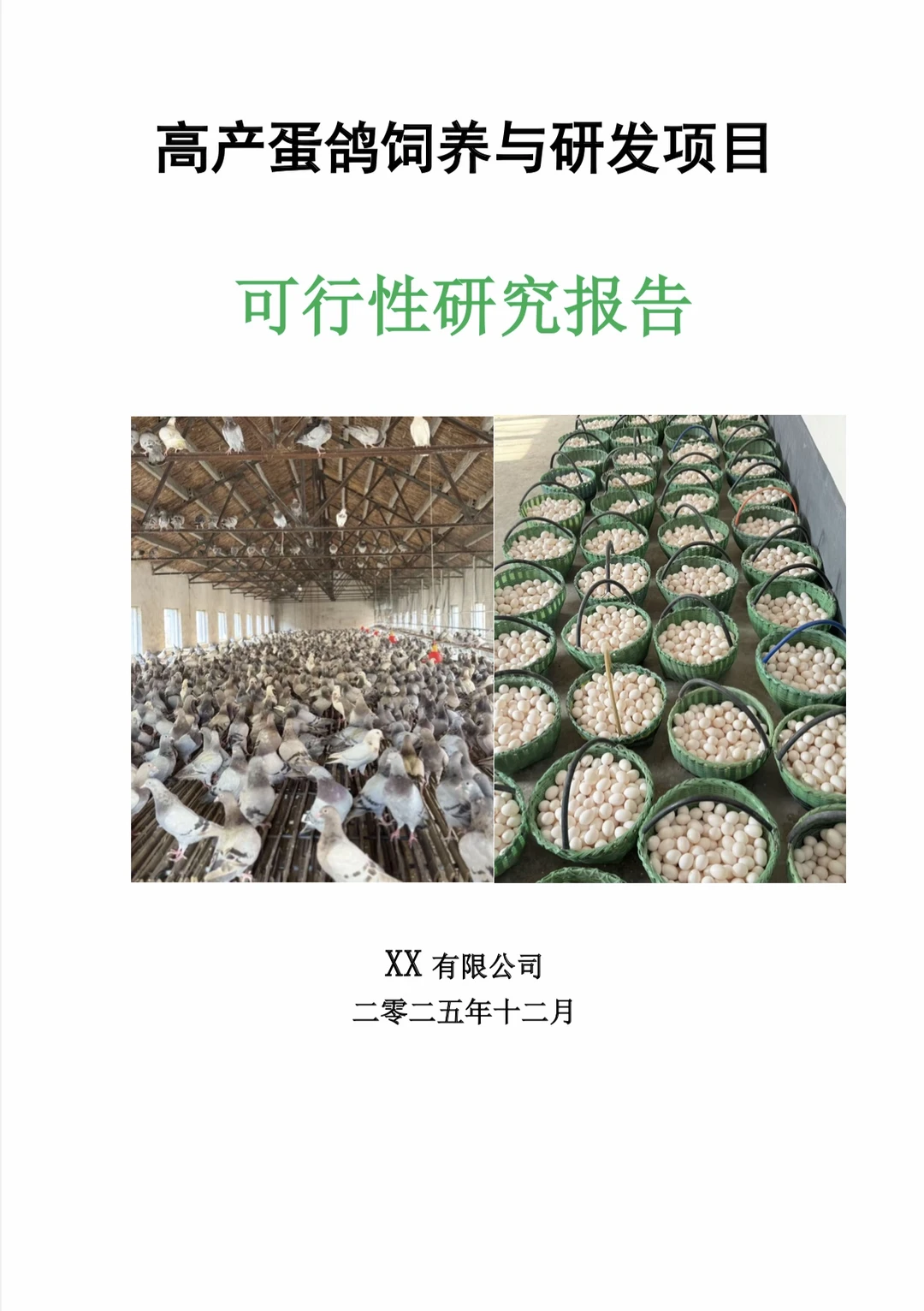 可行性研究报告编制案例｜乡村振兴项目