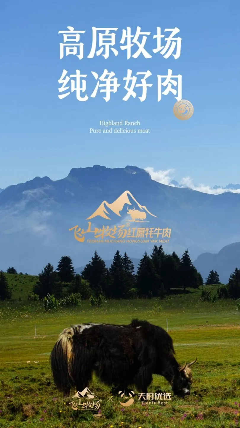 什么是D3数智化品牌全案运营服务