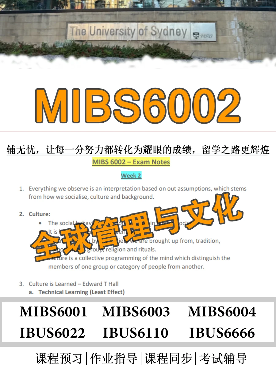 开学前立人设！USYD悉大国际商务课预习补考