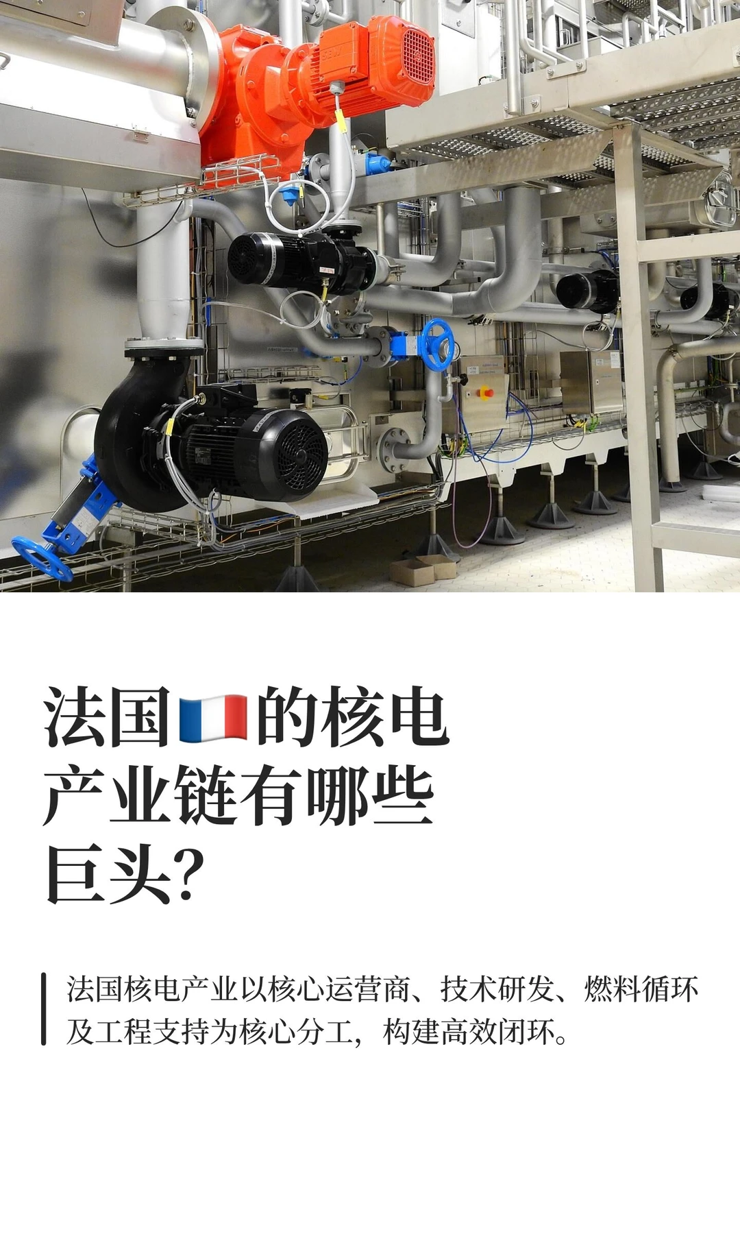 法国??的核电产业链有哪些巨头？