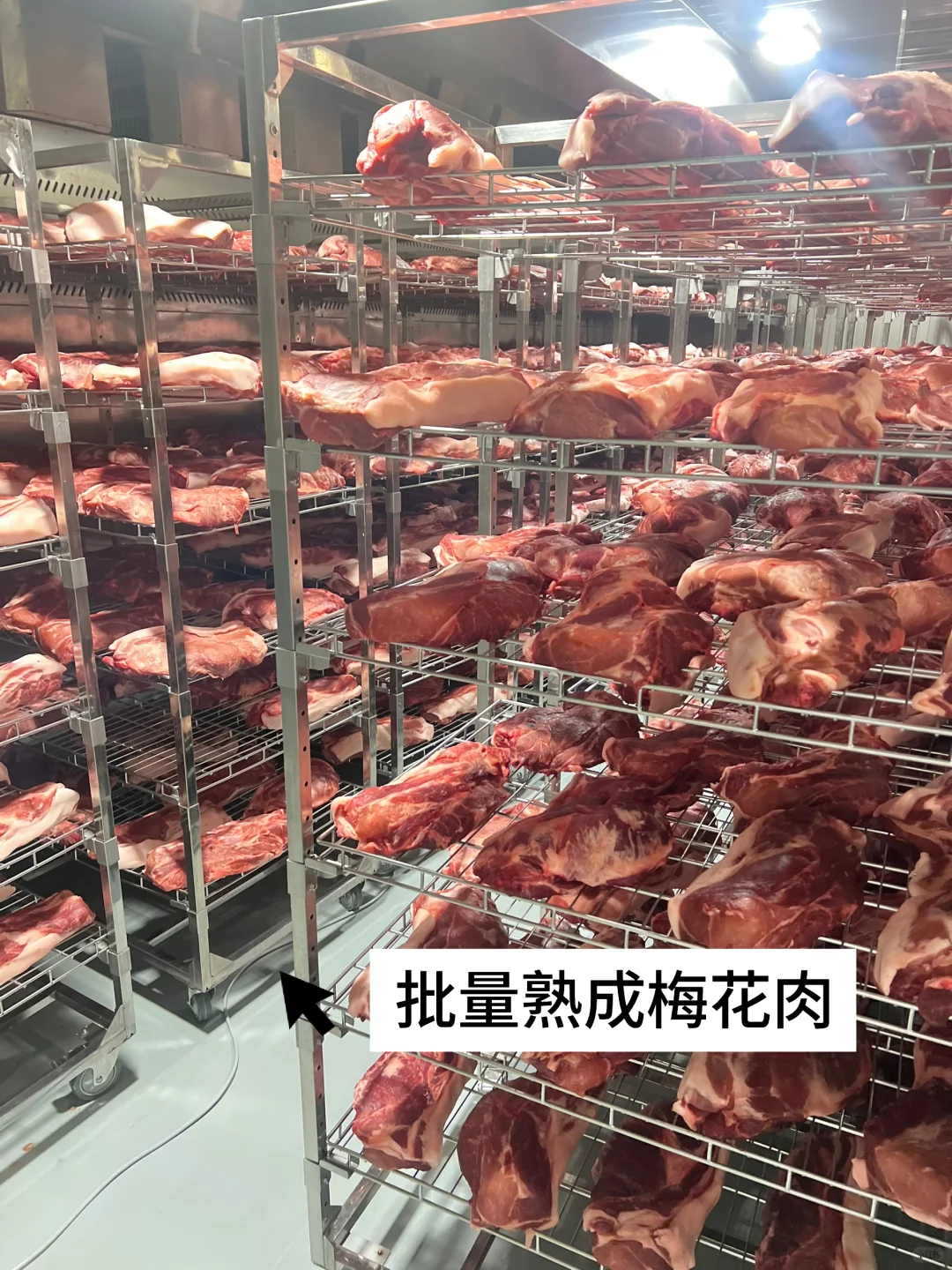 餐饮爆款不断的底气?味燃专业熟成工厂‼️