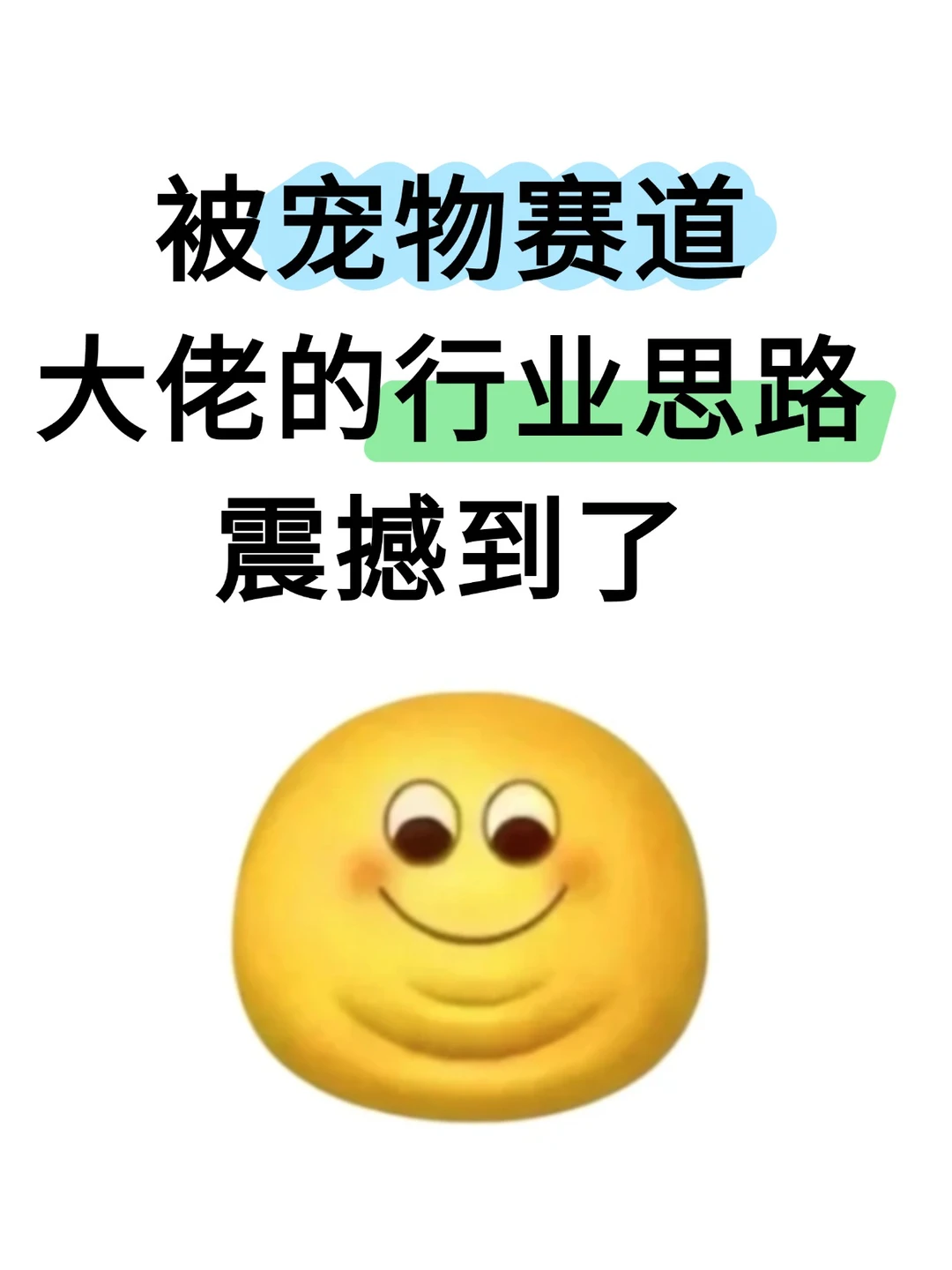 宠物赛道大佬的行业思路,震惊到我了‼️