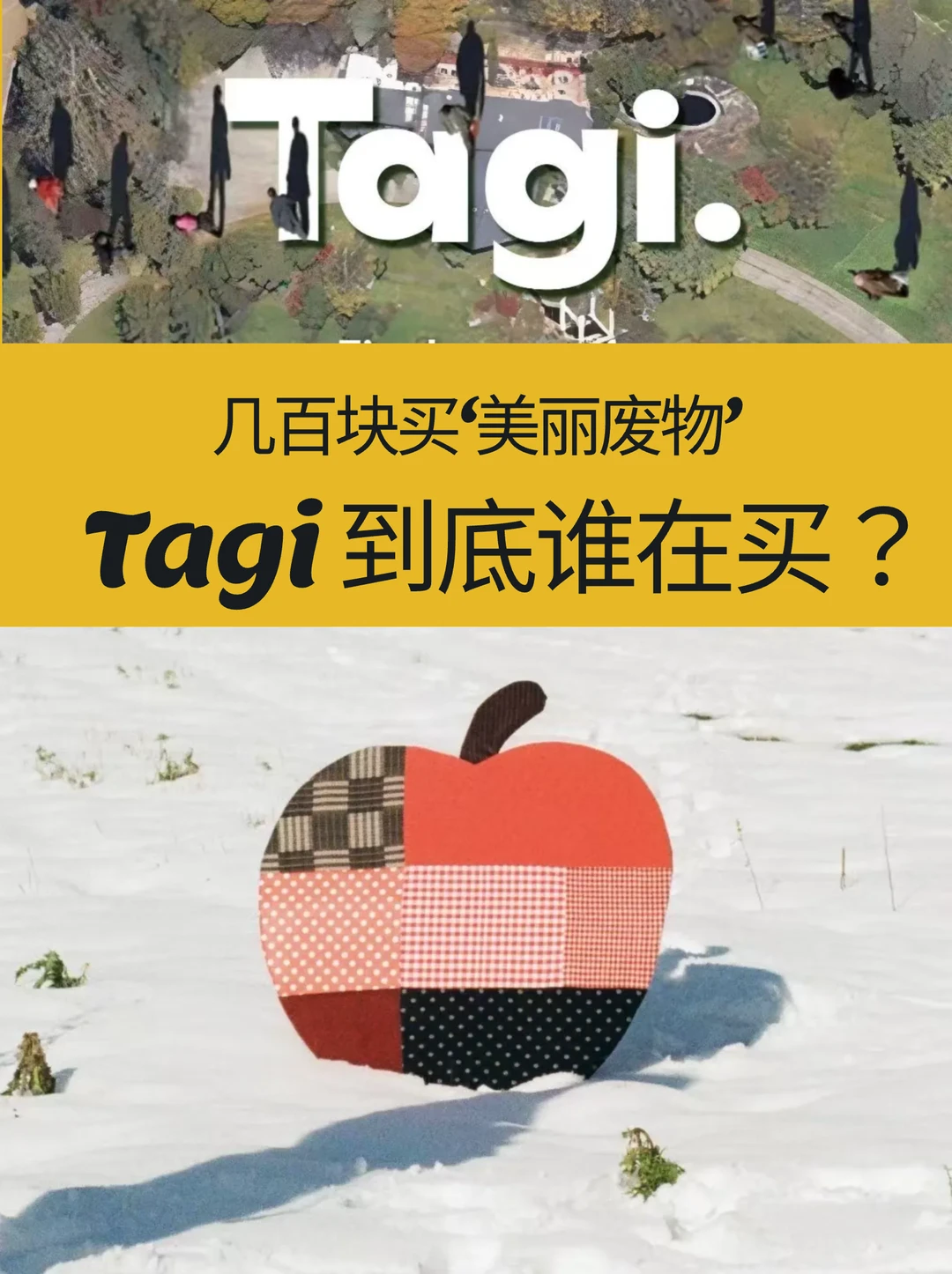 几百块买“美丽废物”？Tagi到底是谁在买❗