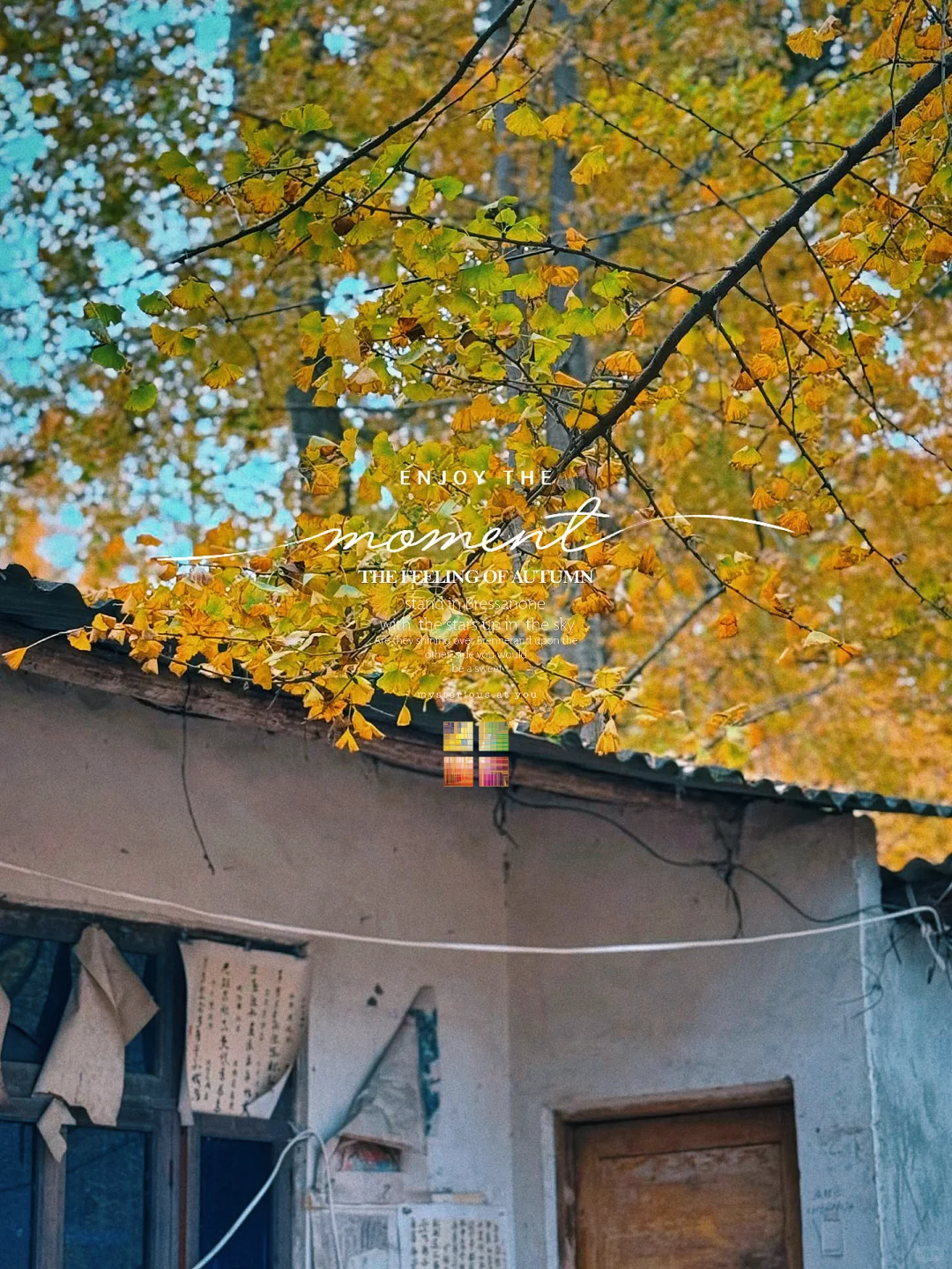 不是逃离,是觉醒,我决定用房租换一生✨