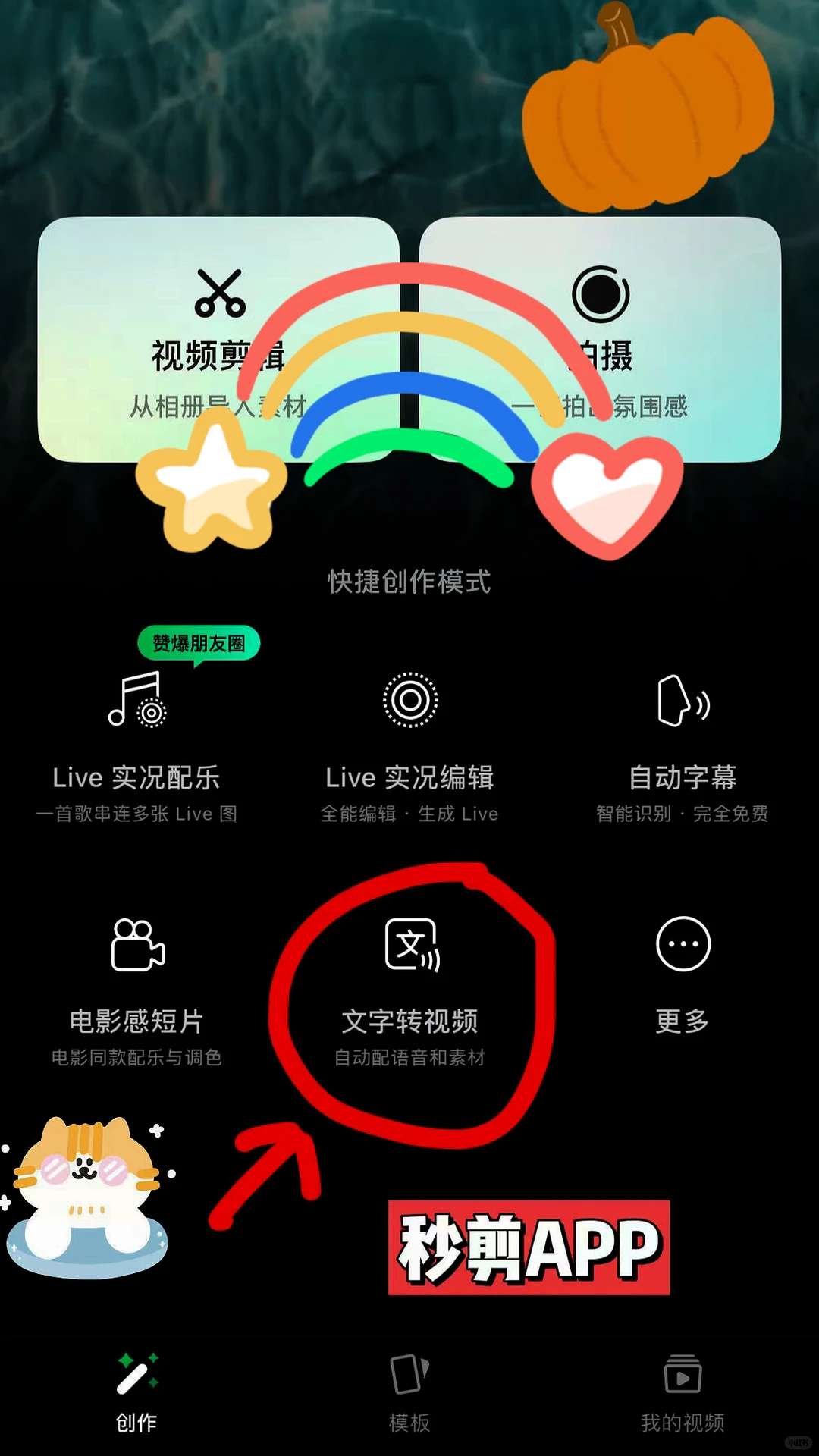 视频号起号成功✌发民间故事蝴蝶号头条耶
