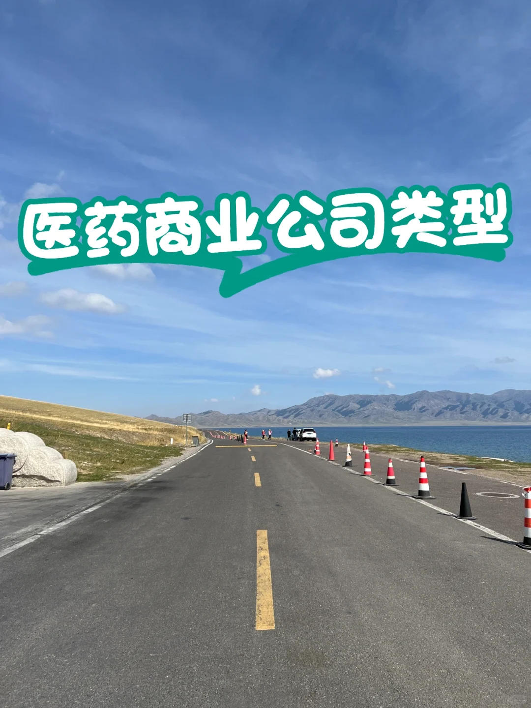 医药行业—医药商业公司的销售模式和类型?