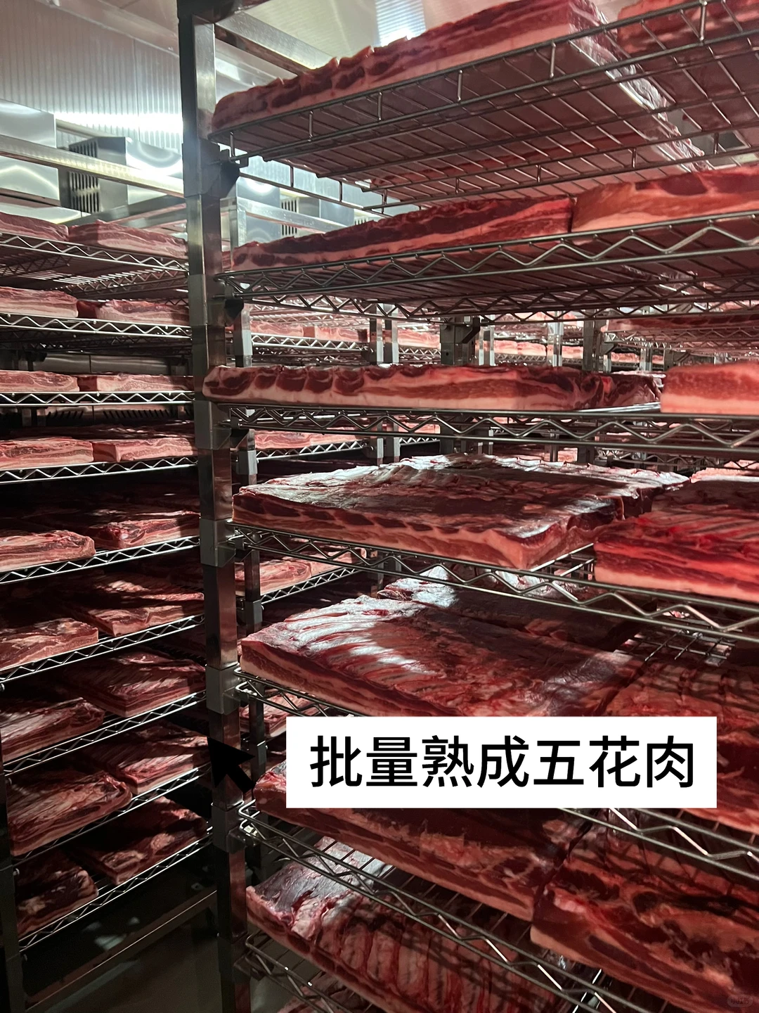 餐饮爆款不断的底气?味燃专业熟成工厂‼️