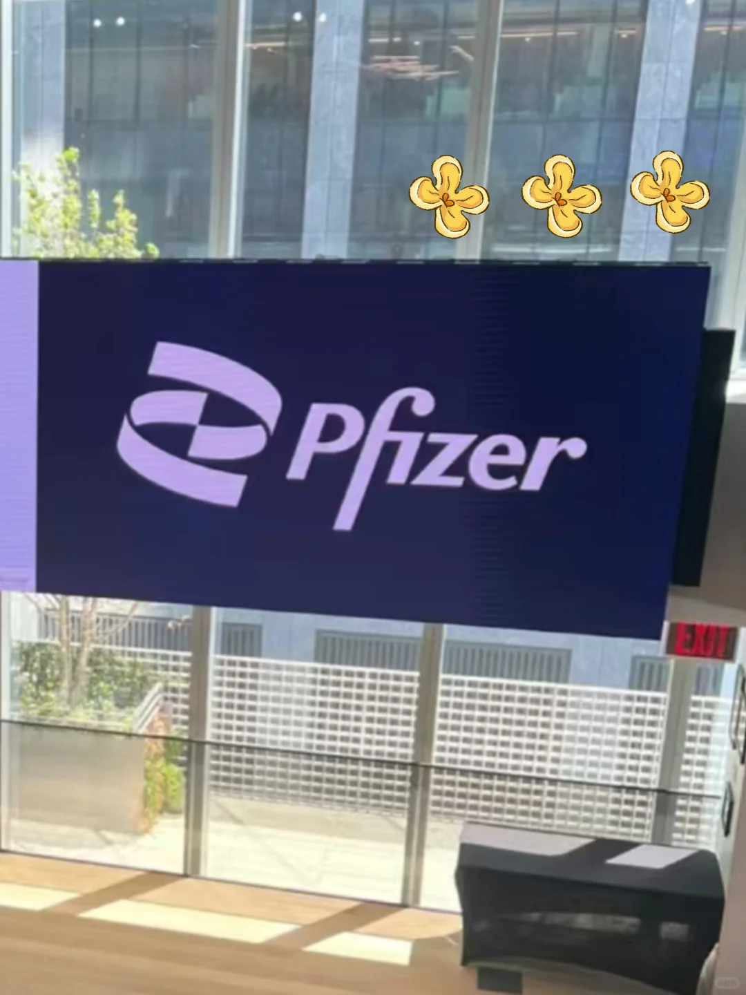 入职辉瑞4w➕强烈建议转行女生考虑AI➕医疗