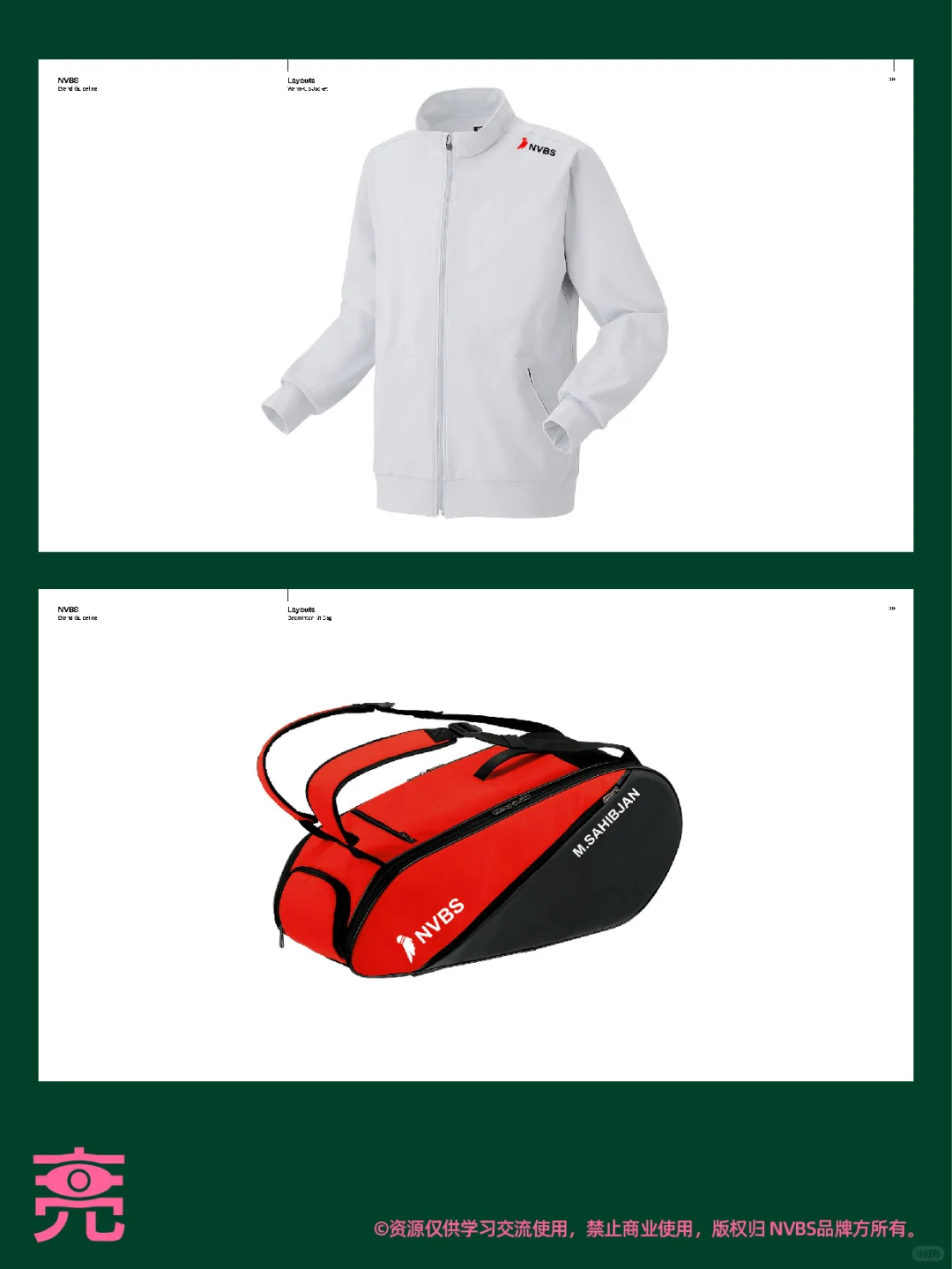 案例分享丨NVBS品牌VI手册【附PDF】