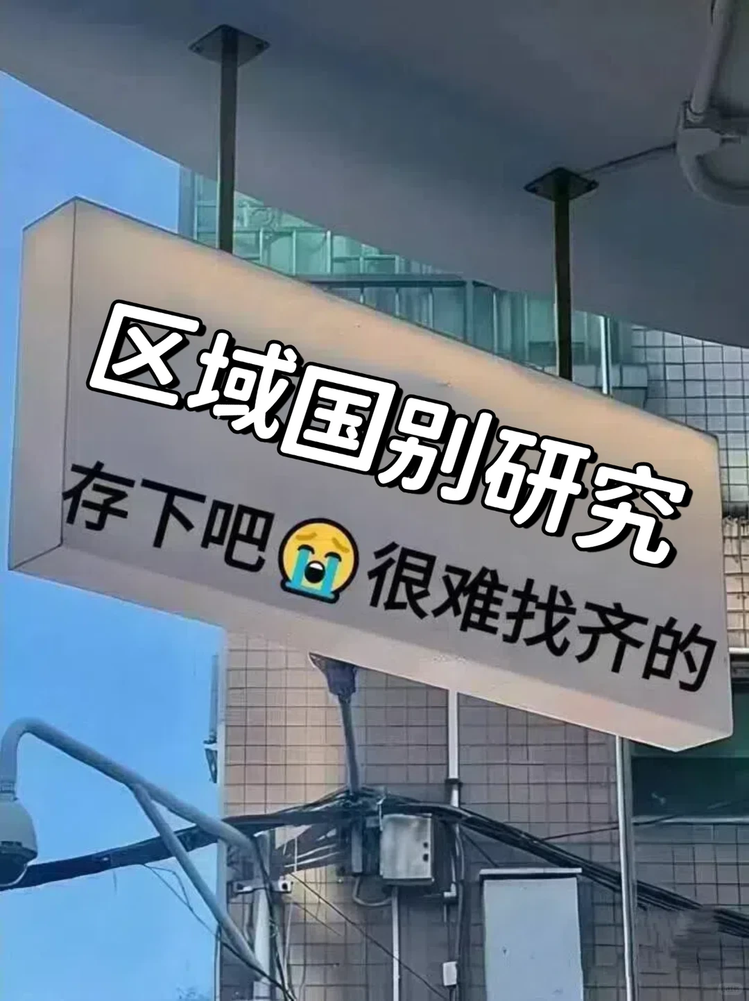 强烈建议:区域国别研究方向的宝刷到就存下