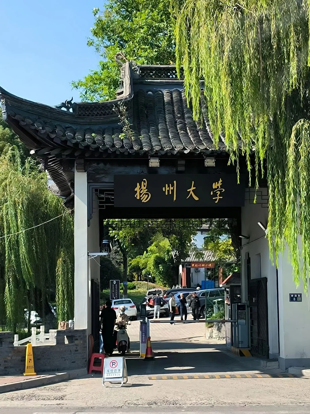 扬州大学今年是疯了吗