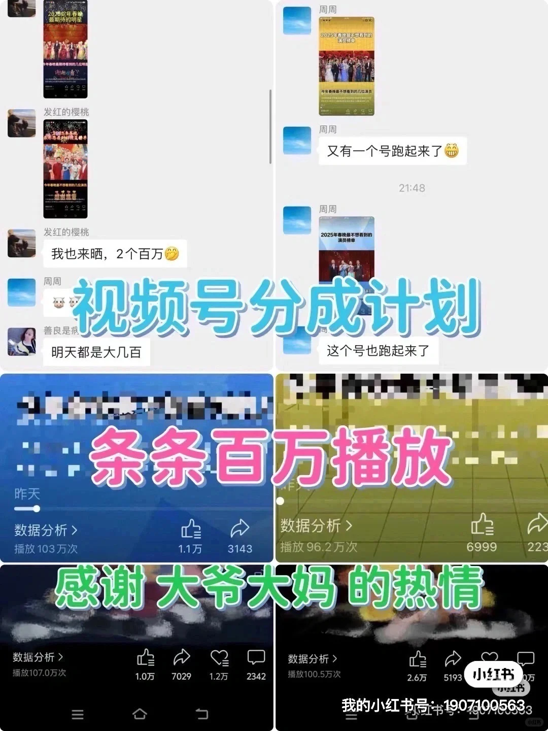 视频号做什么赛道？蝴蝶号收益怎么样？