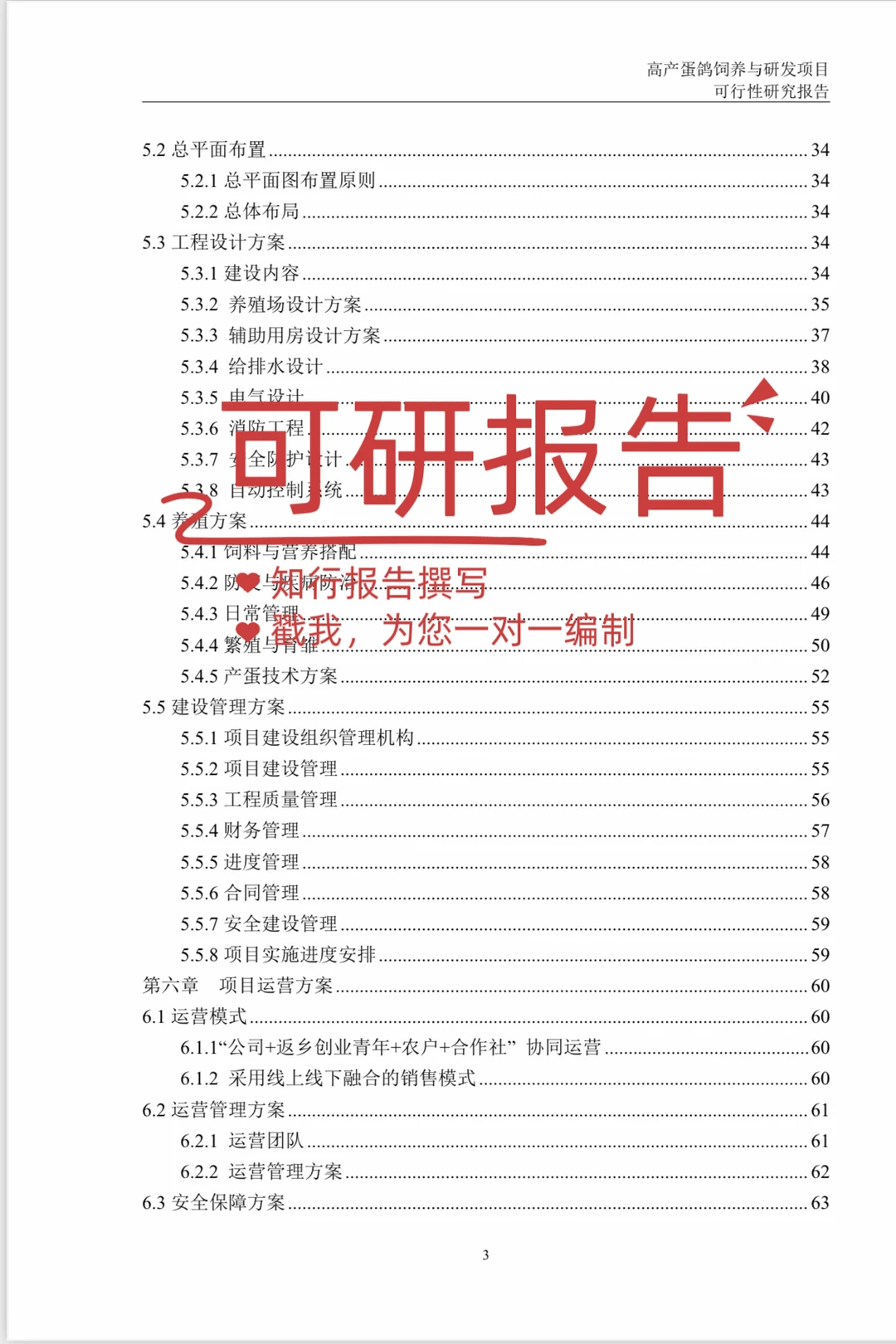 可行性研究报告编制案例｜乡村振兴项目