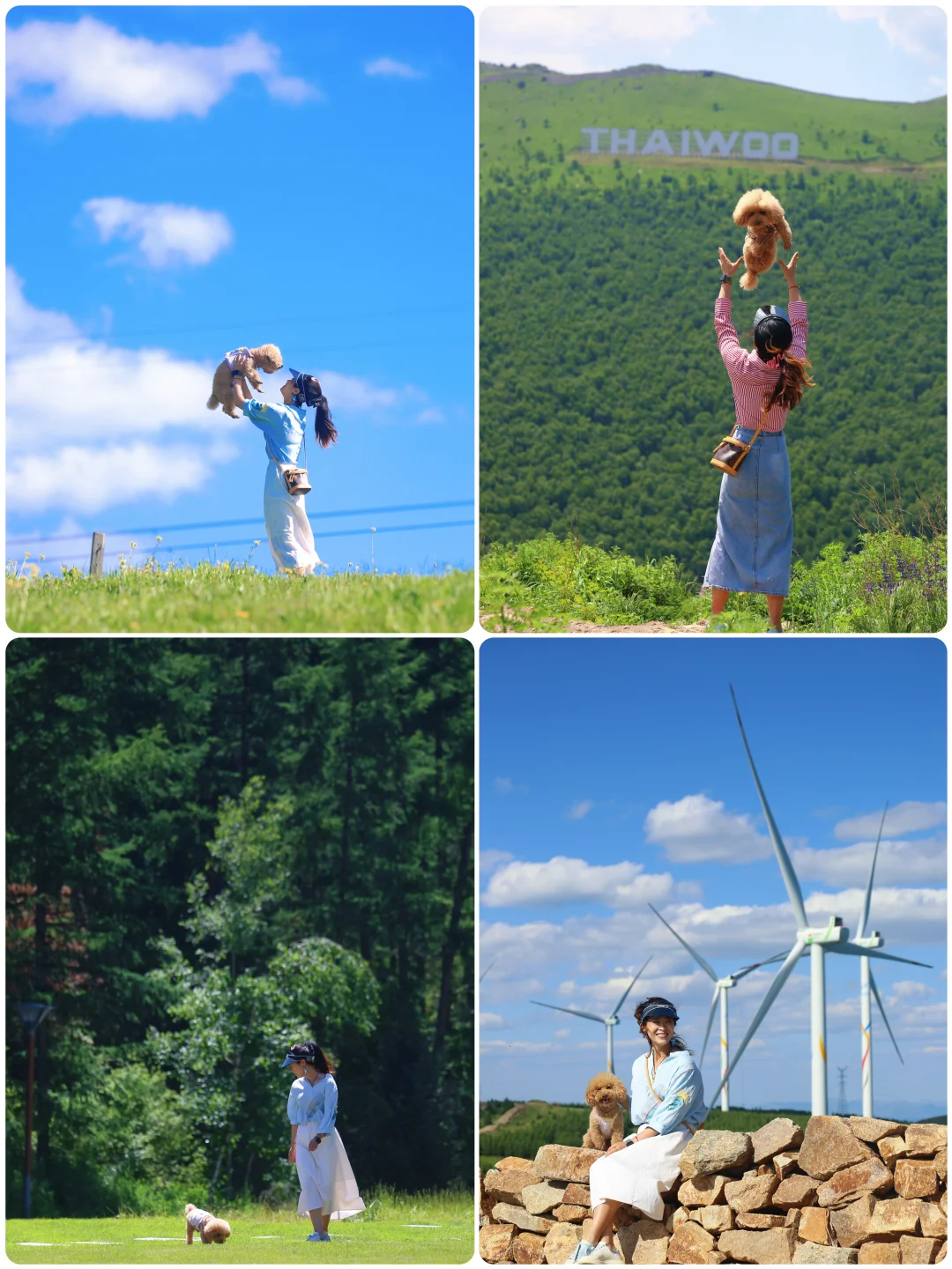 山楂2025出行报告，小狗狗的年终总结！